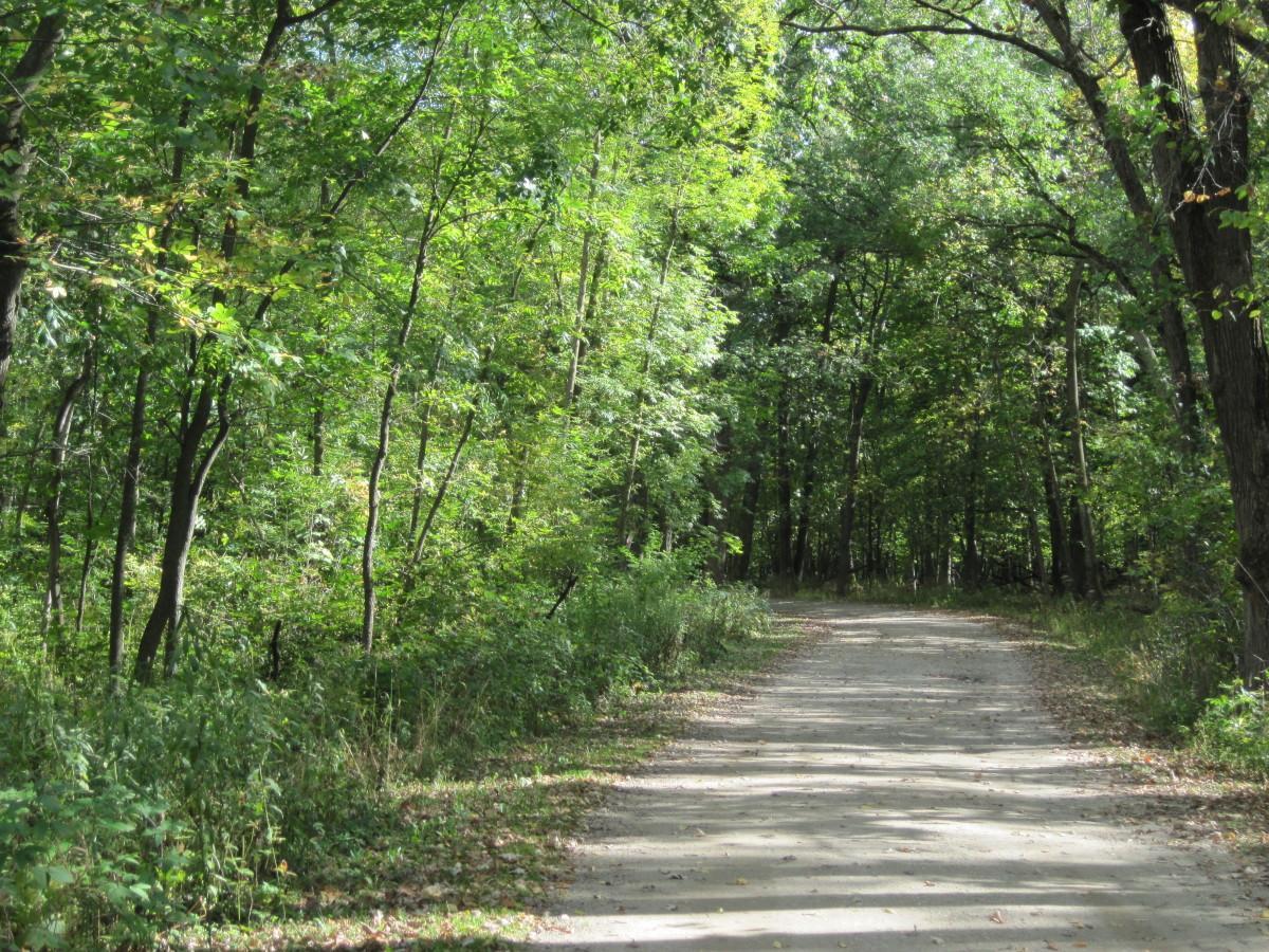 main property photo 54