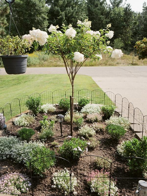 main property photo 69