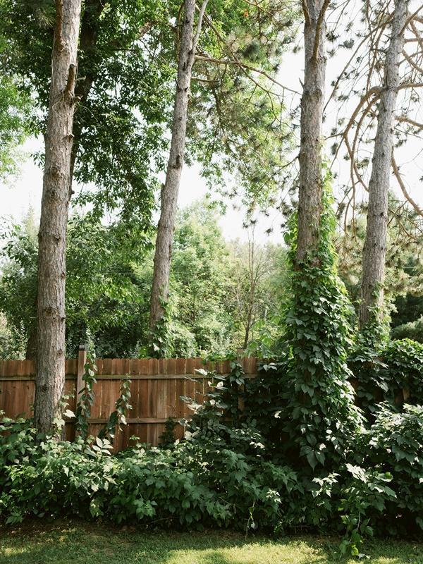 main property photo 71