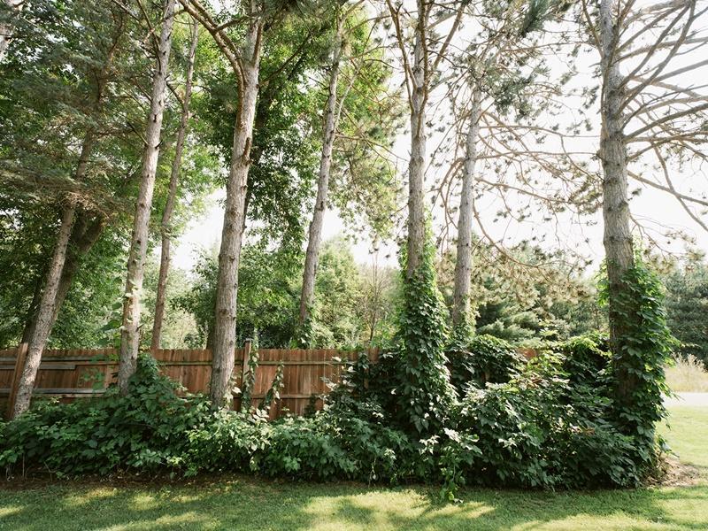 main property photo 72
