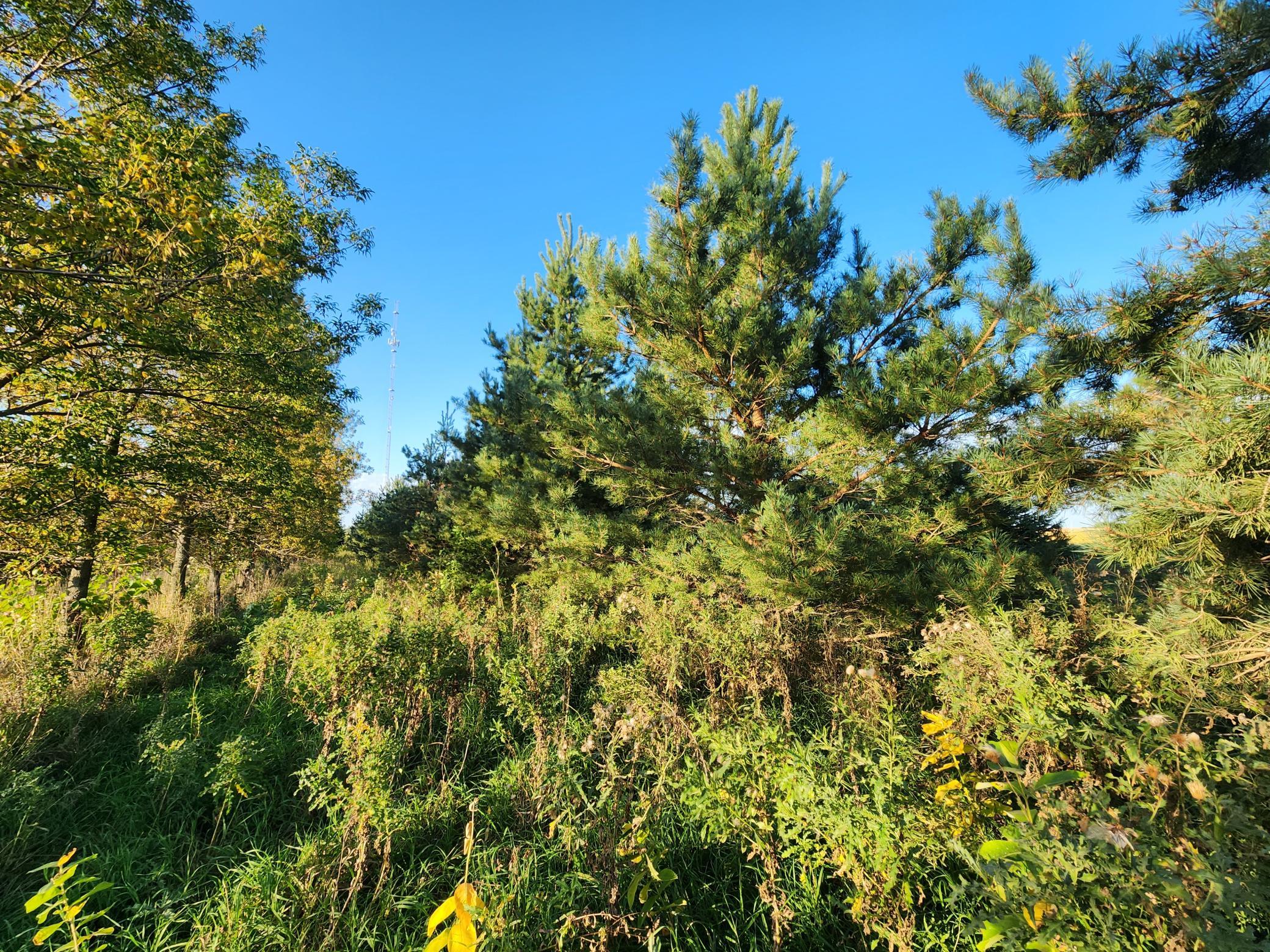main property photo 30