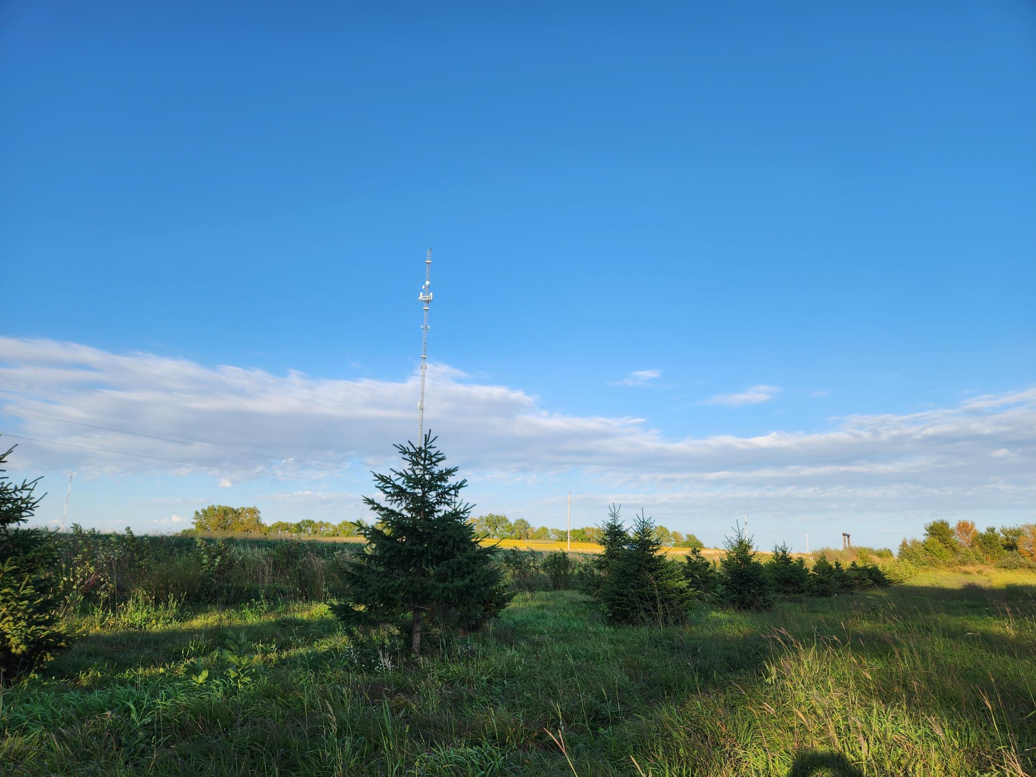 main property photo 37