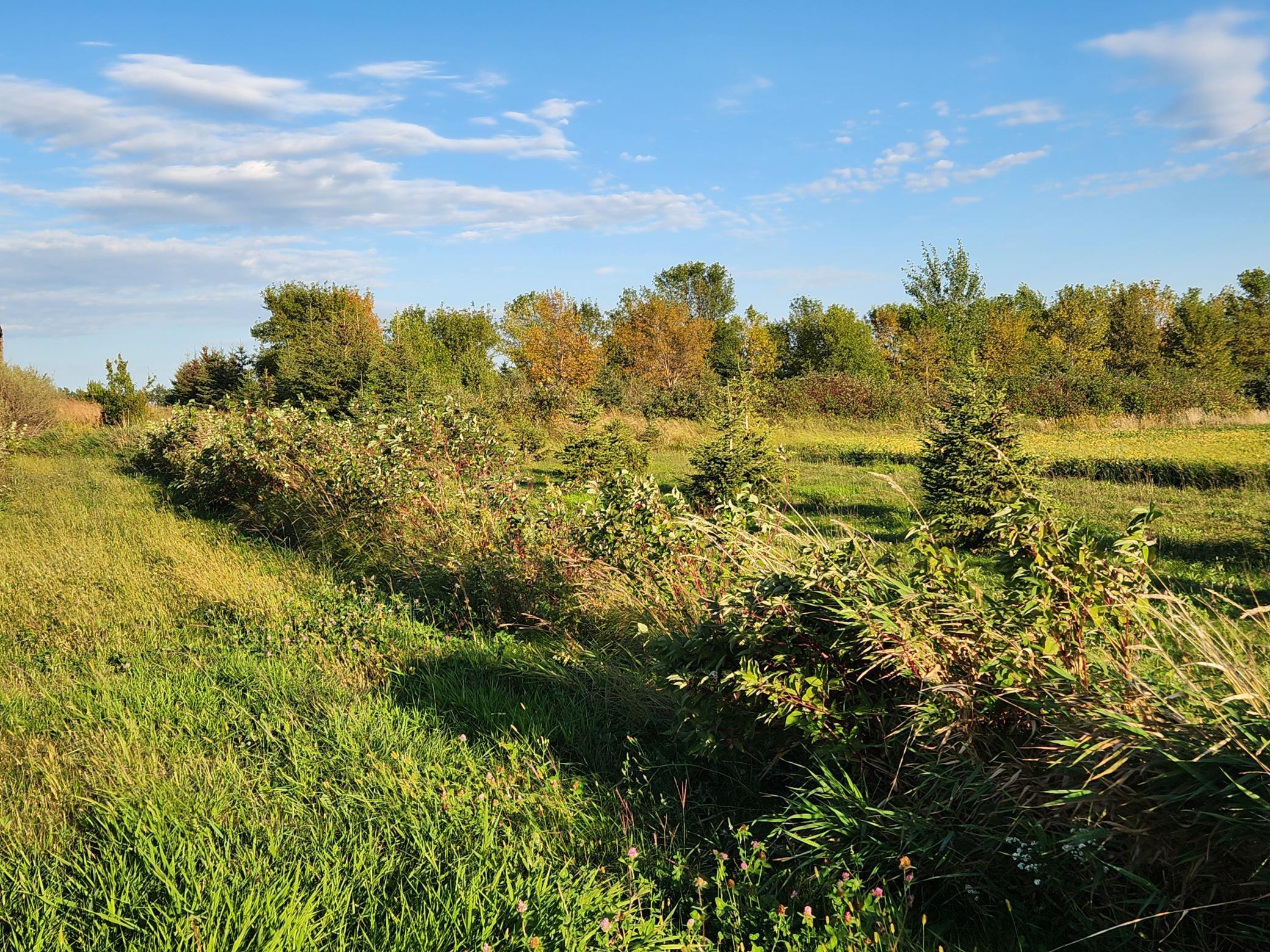 main property photo 38