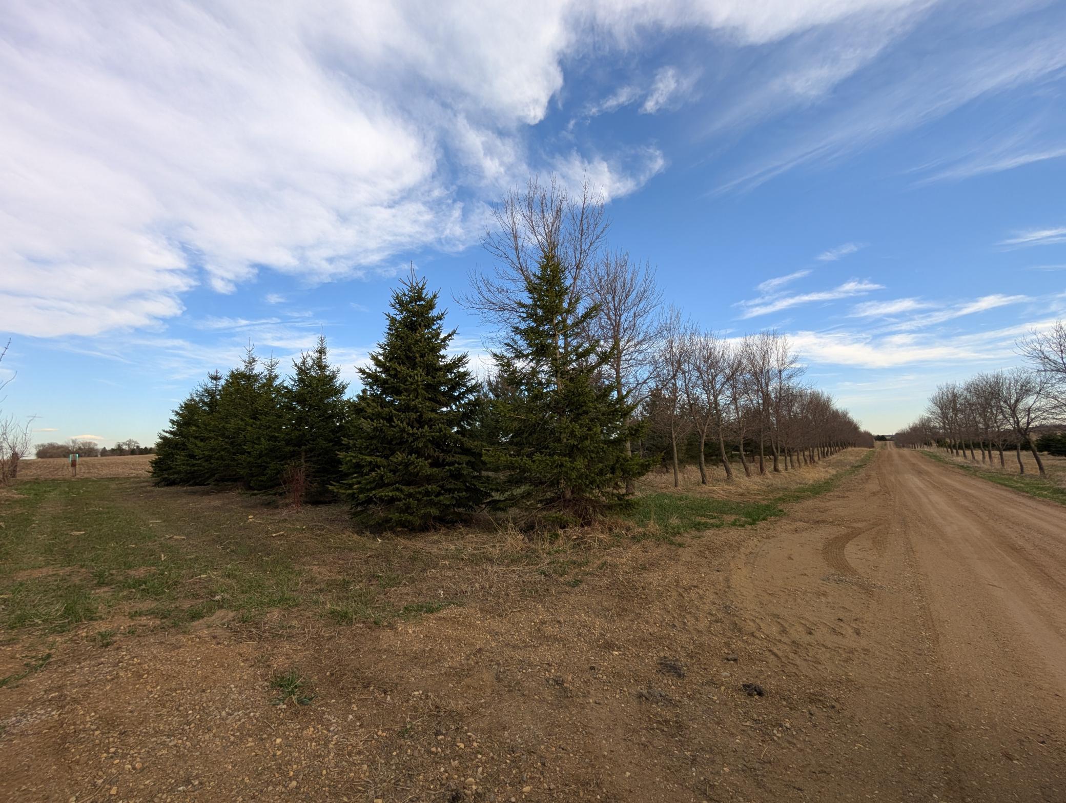 main property photo 48