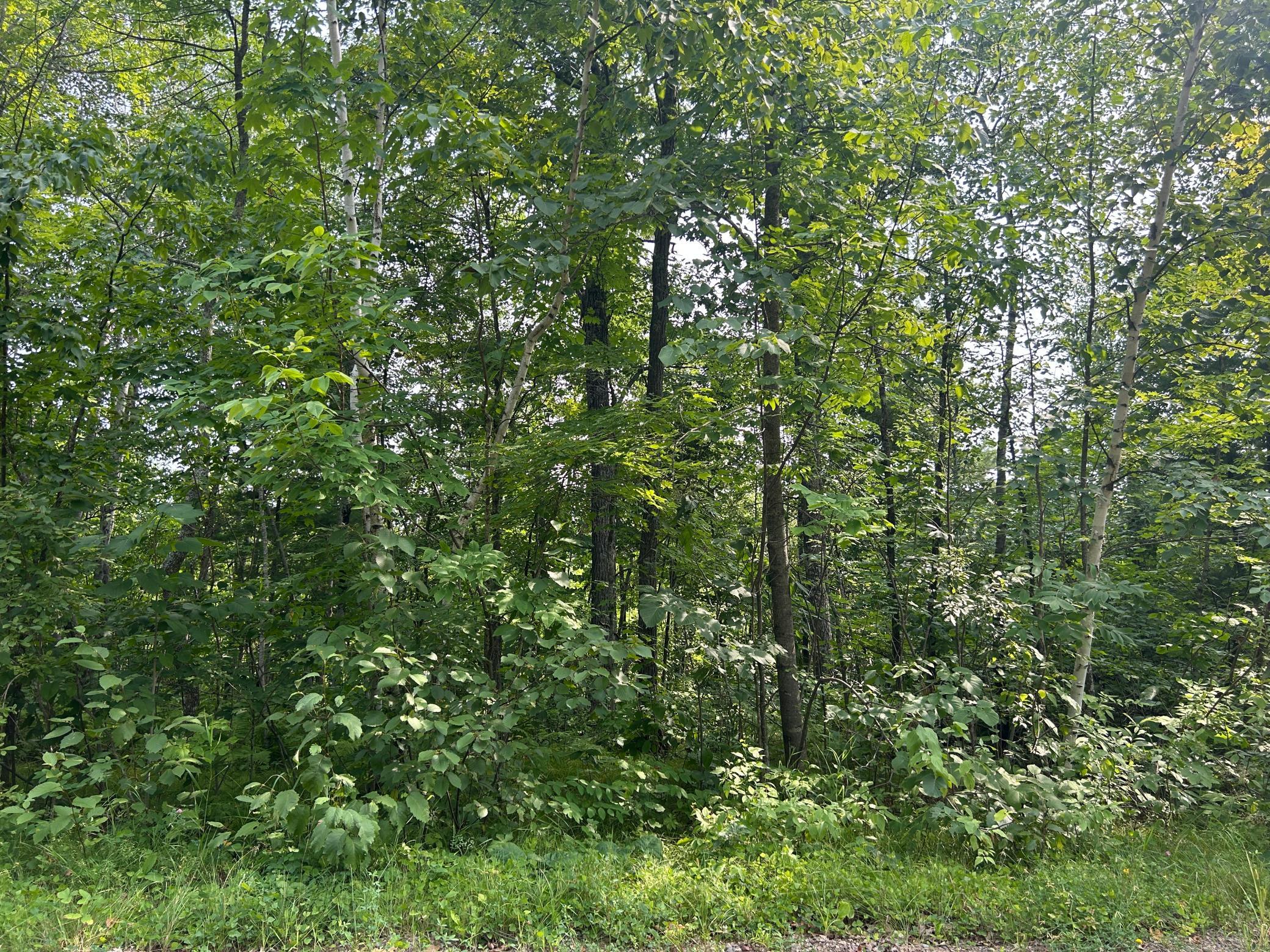 main property photo 0
