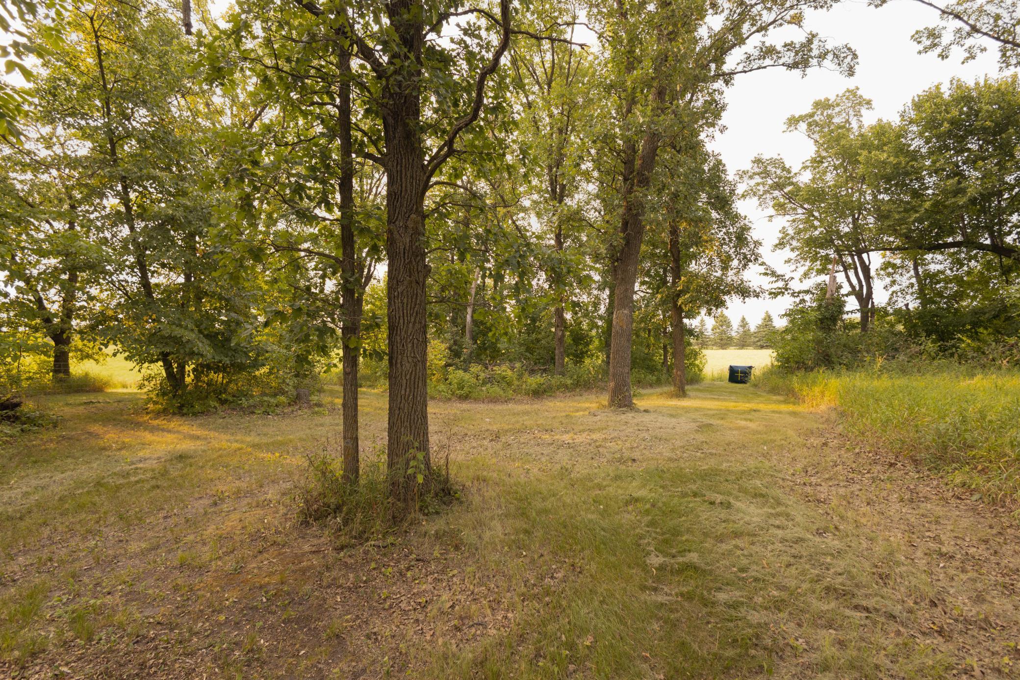 main property photo 52