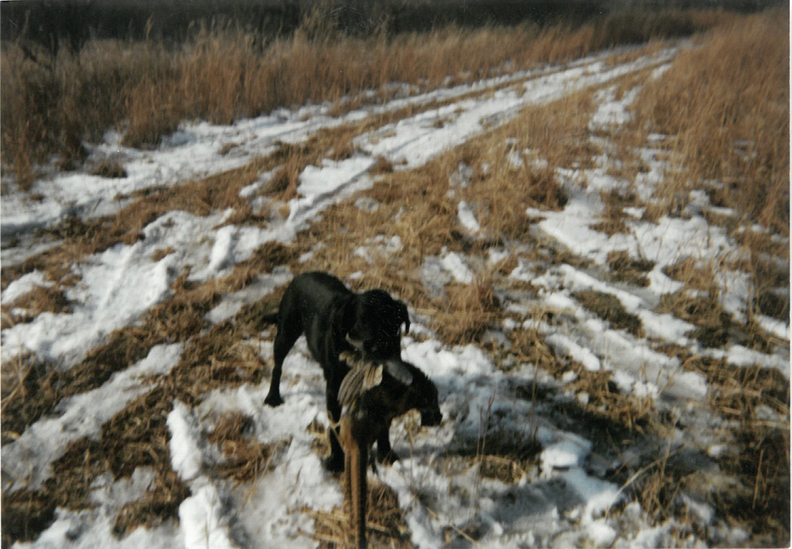 main property photo 35
