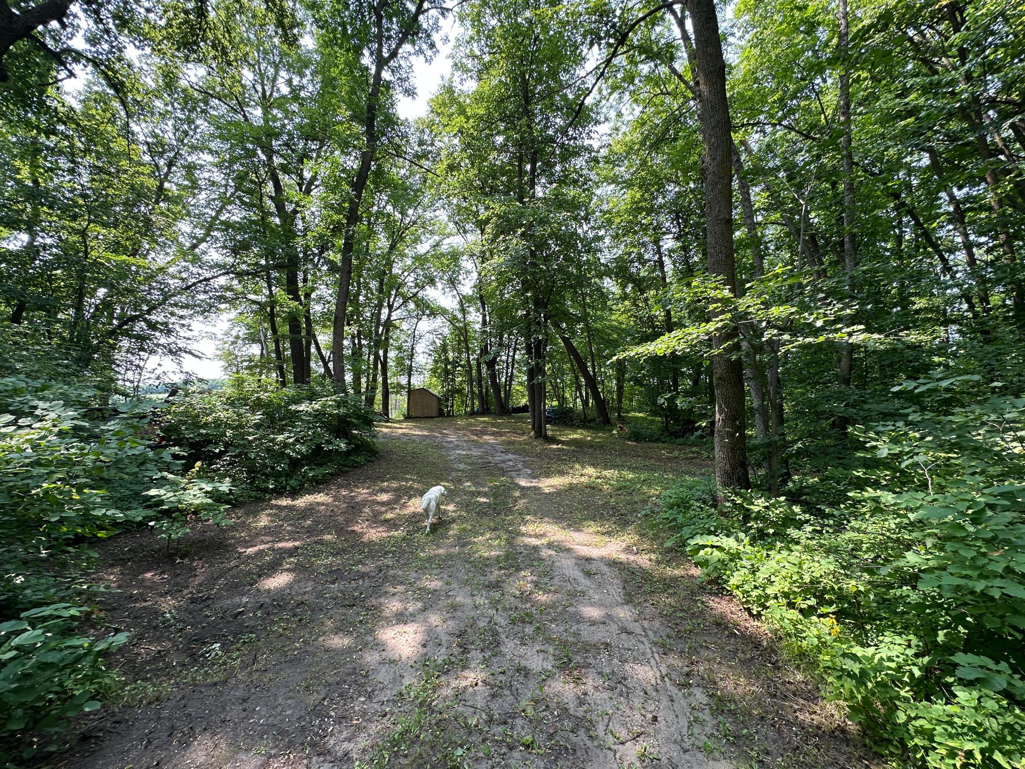 main property photo 15
