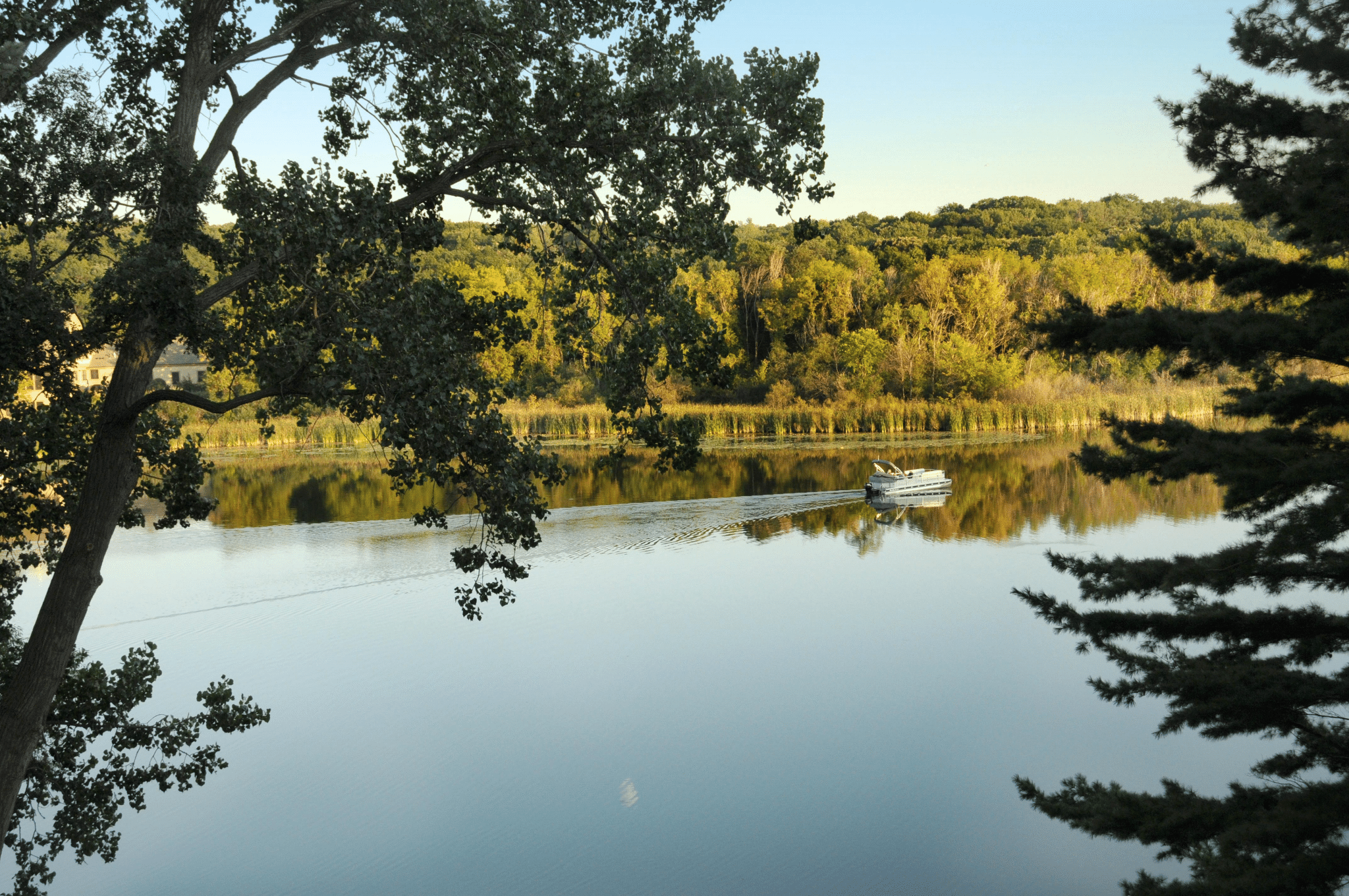 main property photo 46