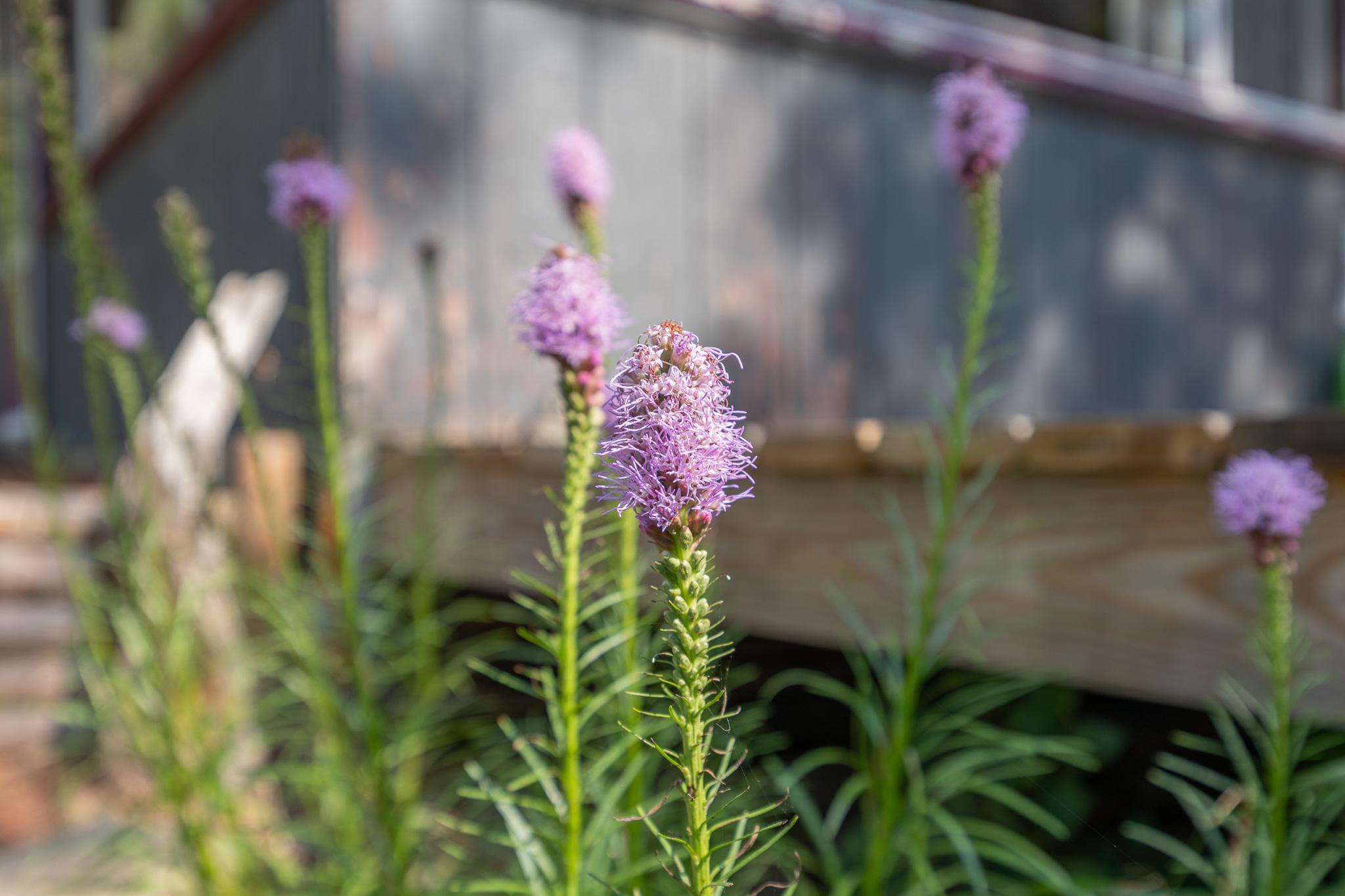 main property photo 58