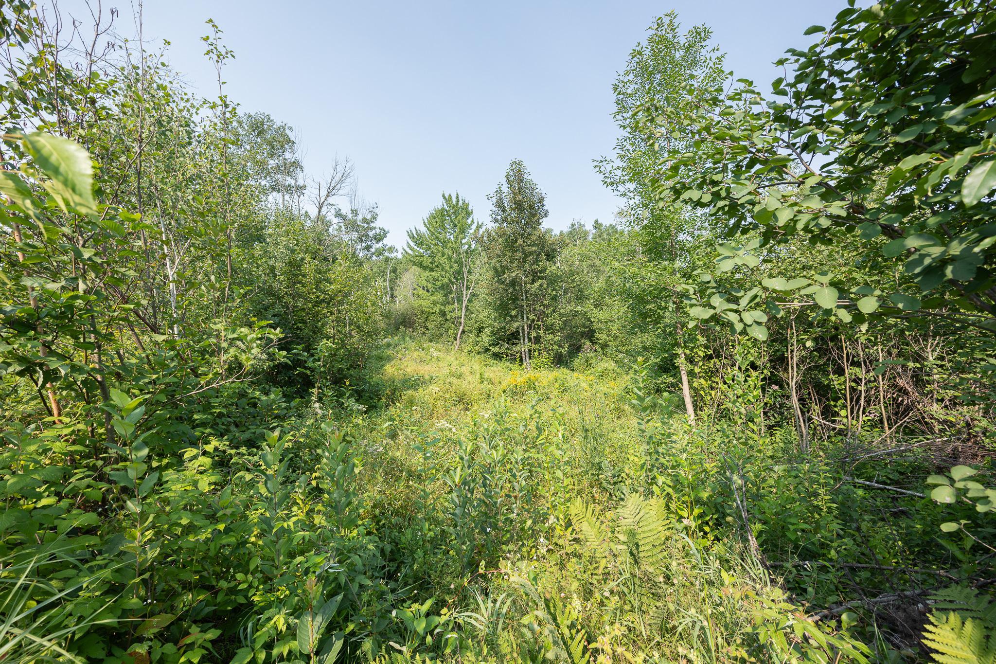main property photo 70