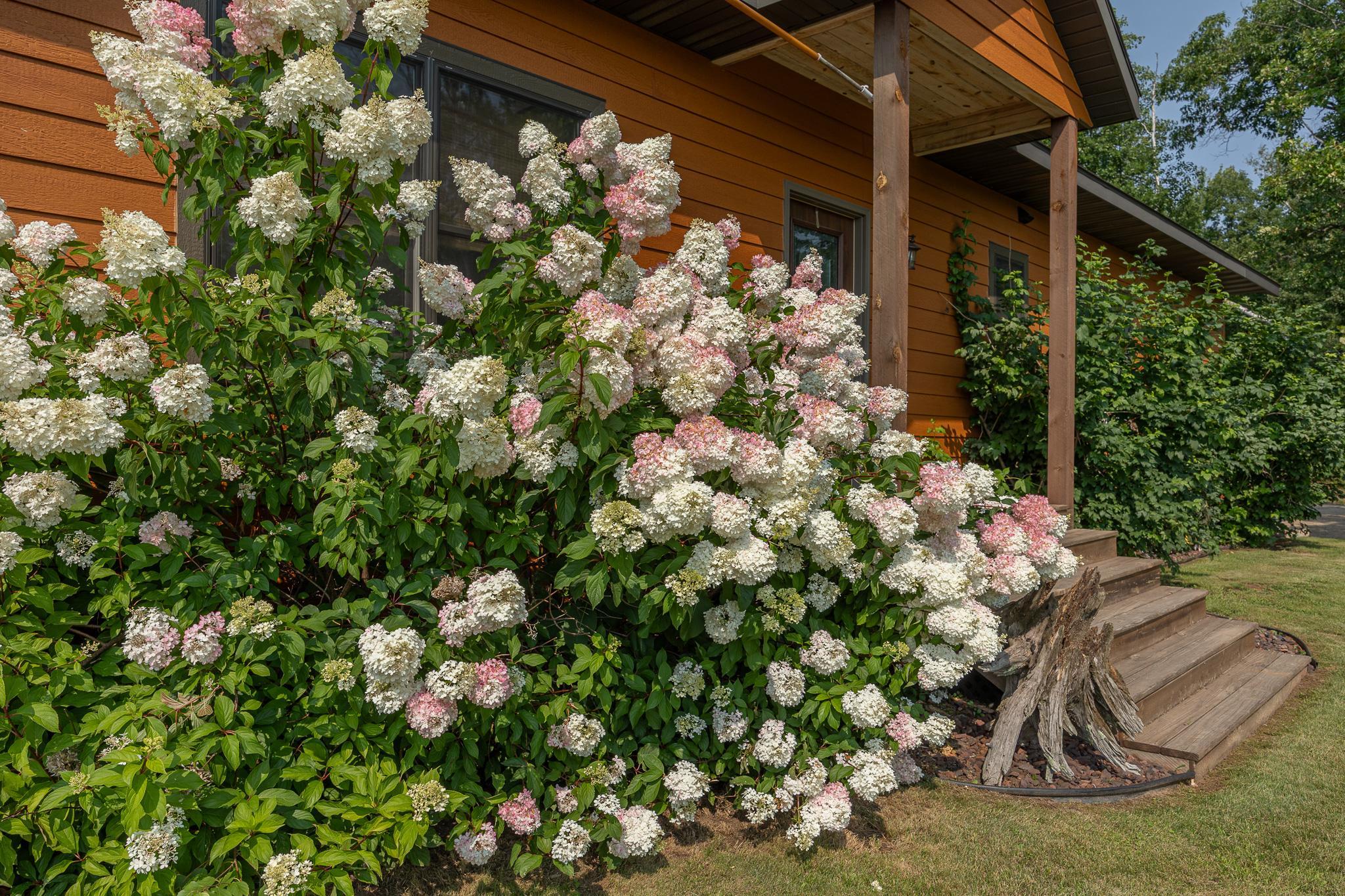 main property photo 73