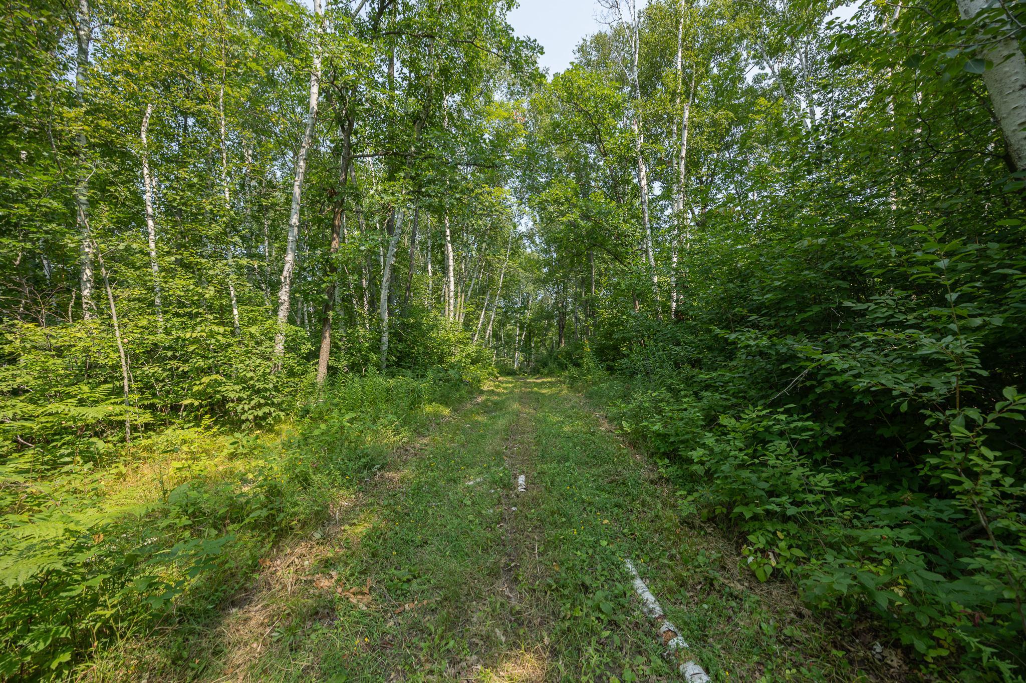 main property photo 74