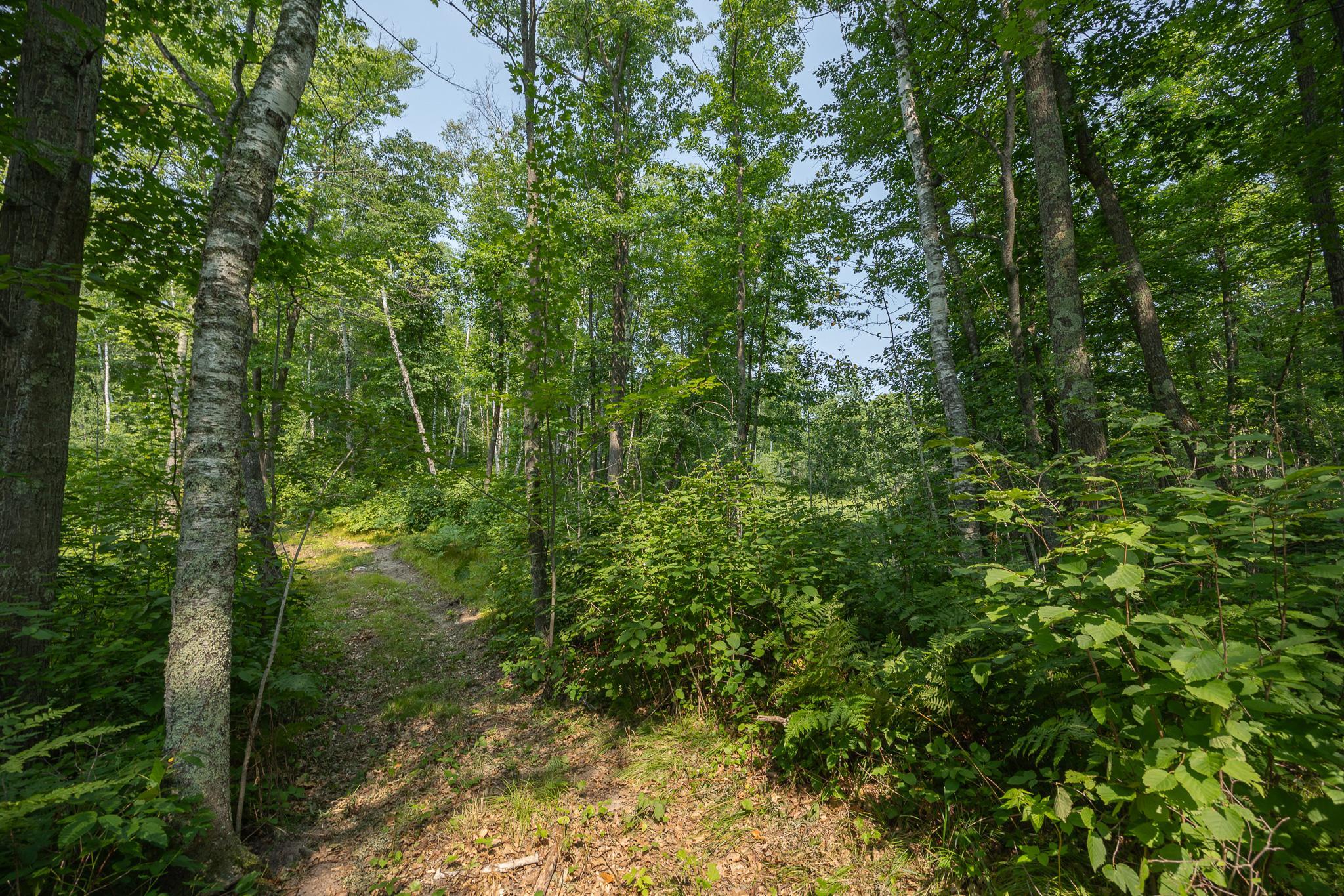 main property photo 75