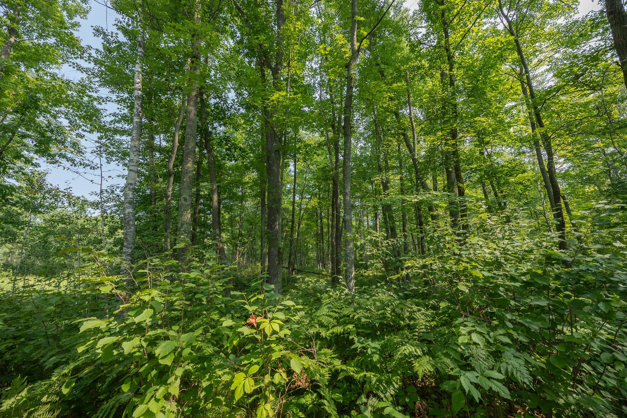 main property photo 76