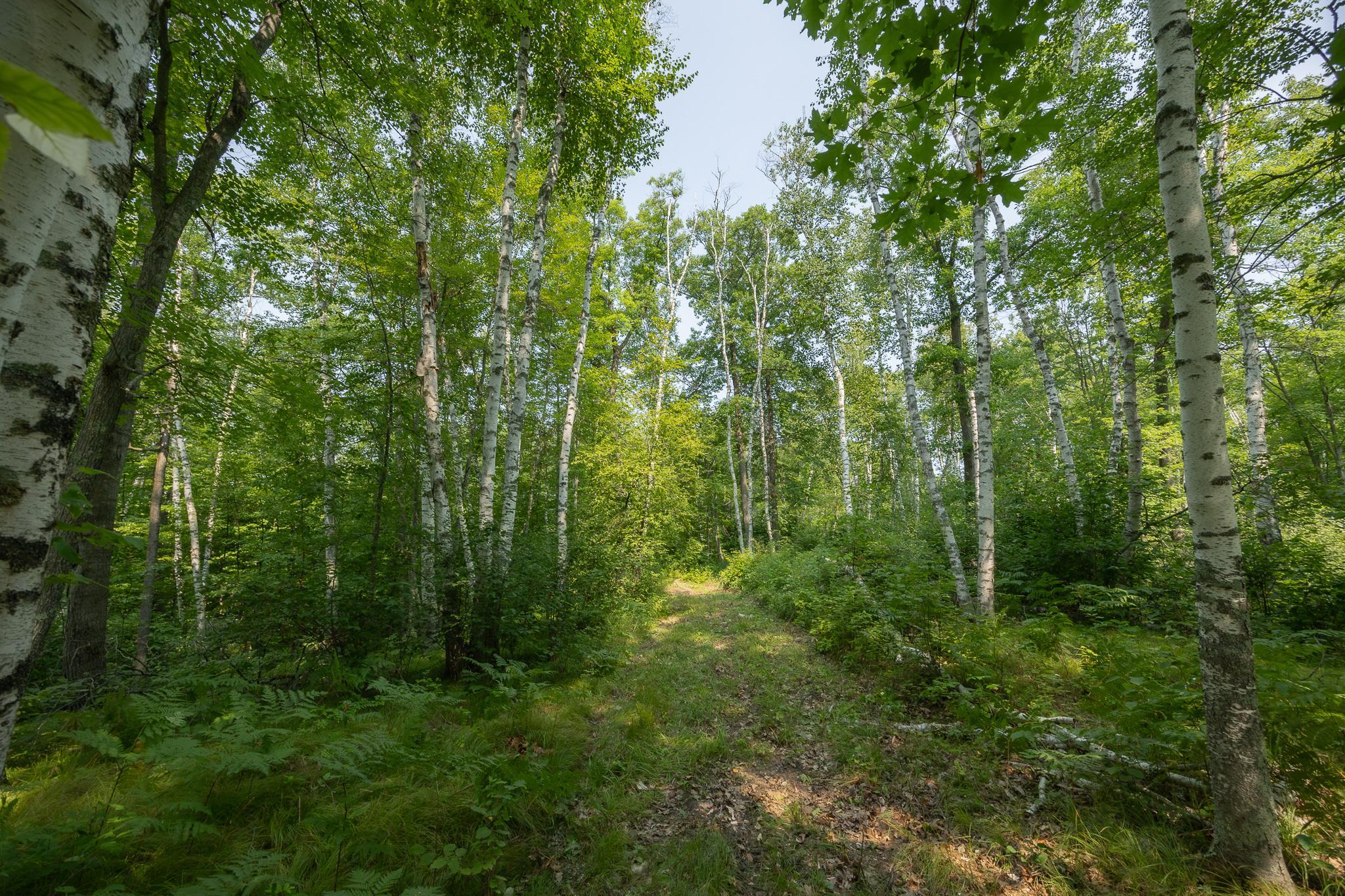 main property photo 78