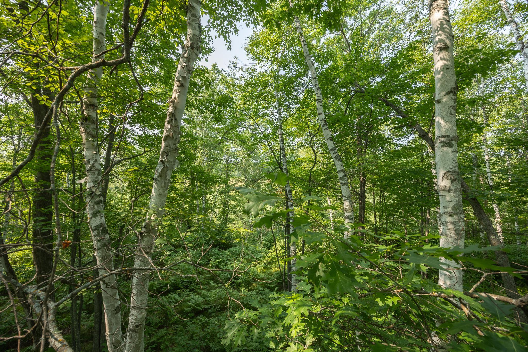 main property photo 79