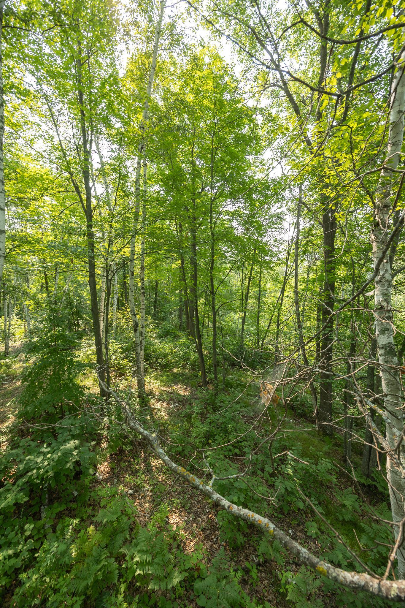 main property photo 80