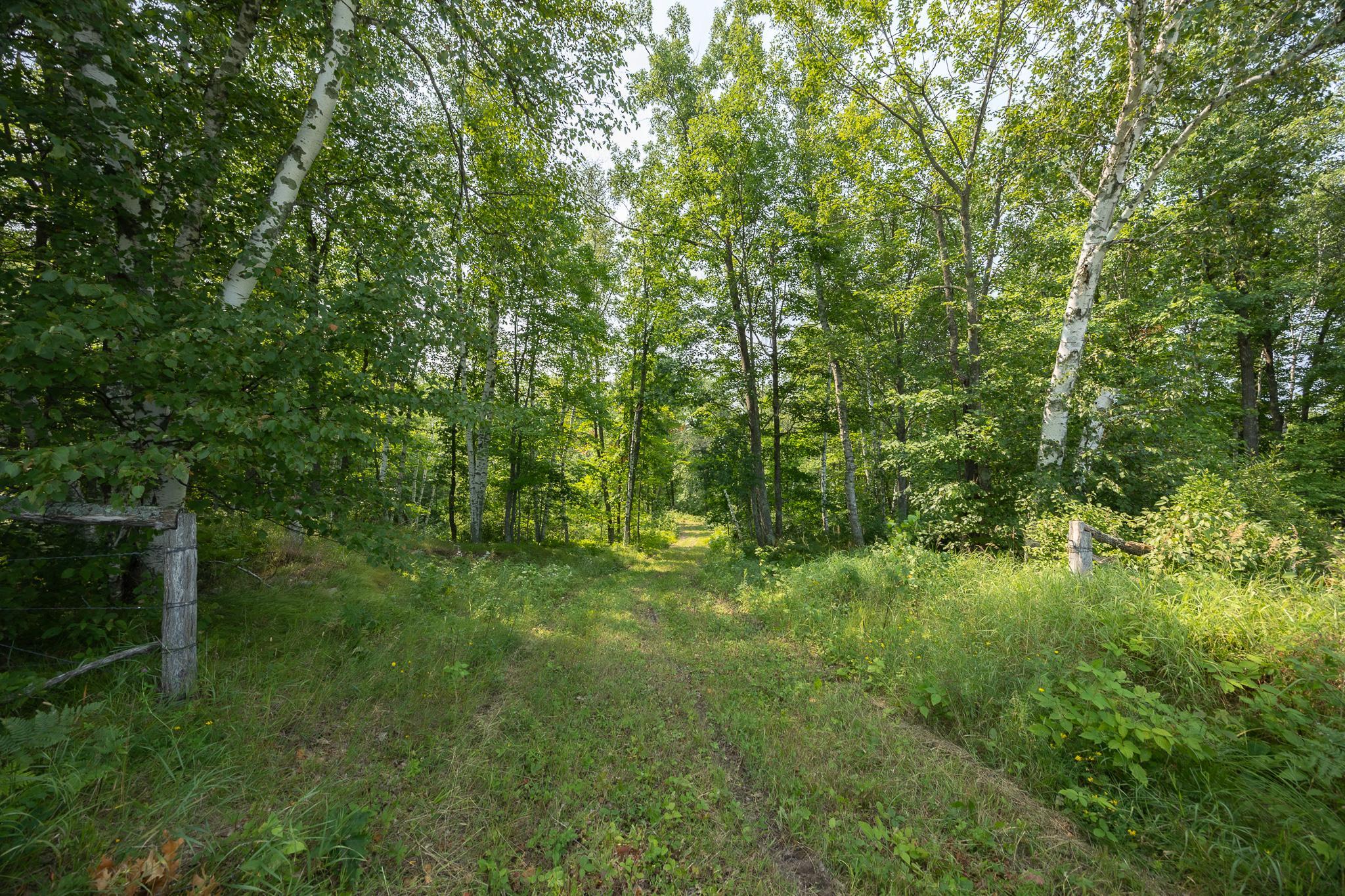 main property photo 82