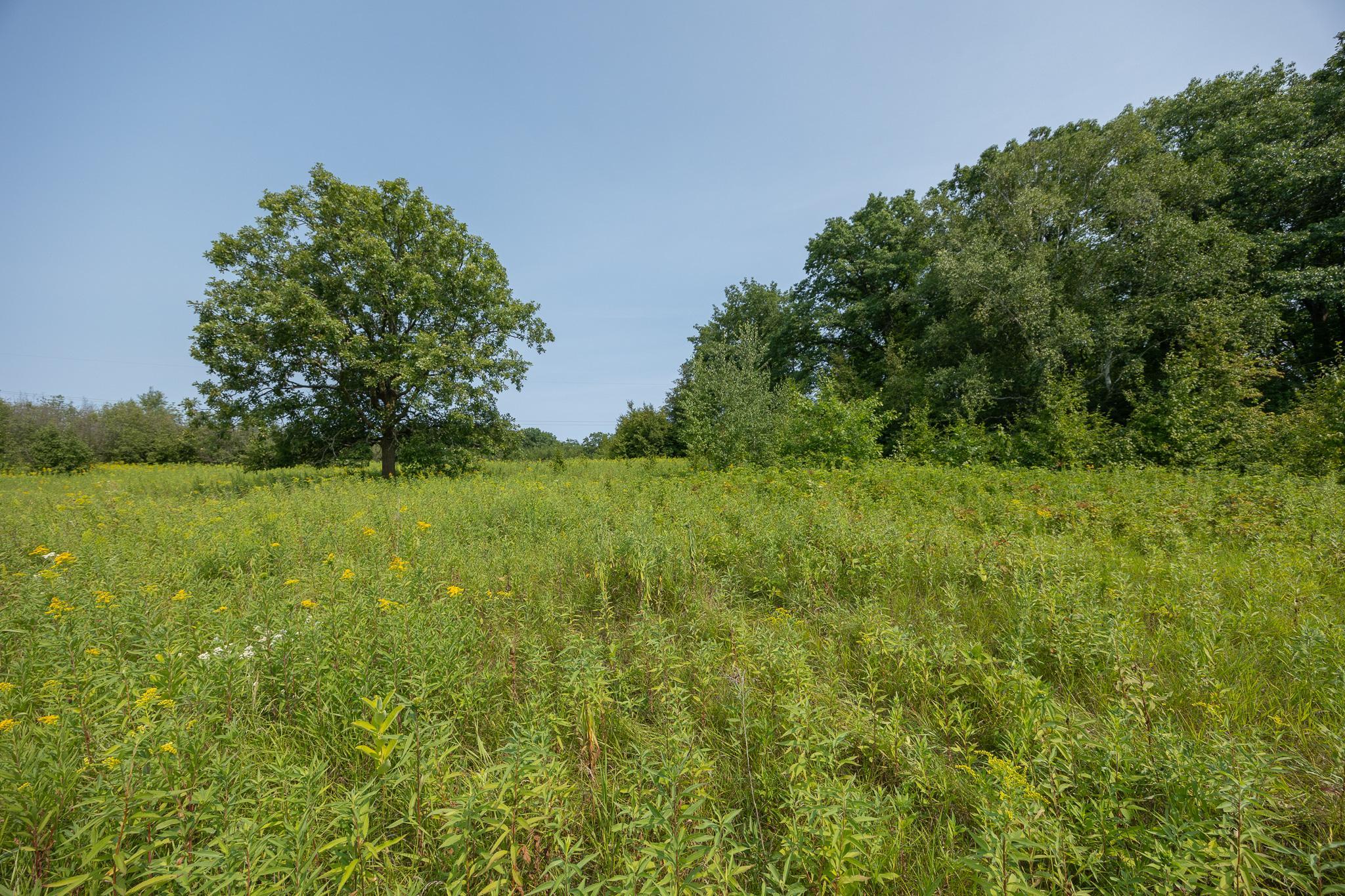 main property photo 86
