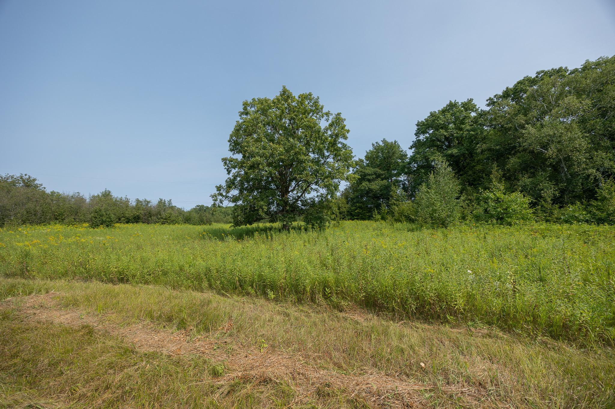 main property photo 87