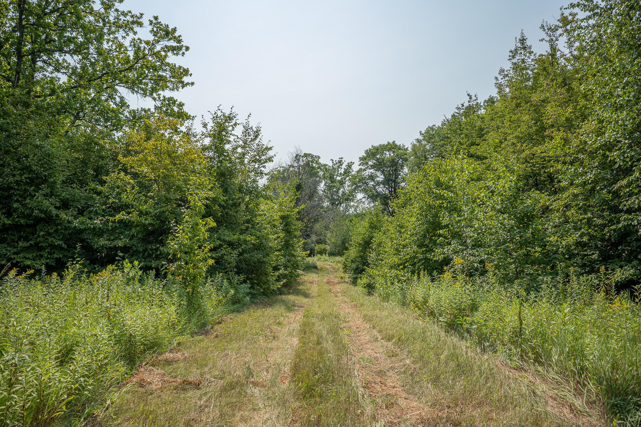 main property photo 88