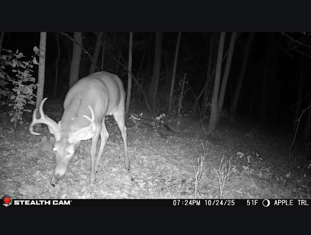 main property photo 18