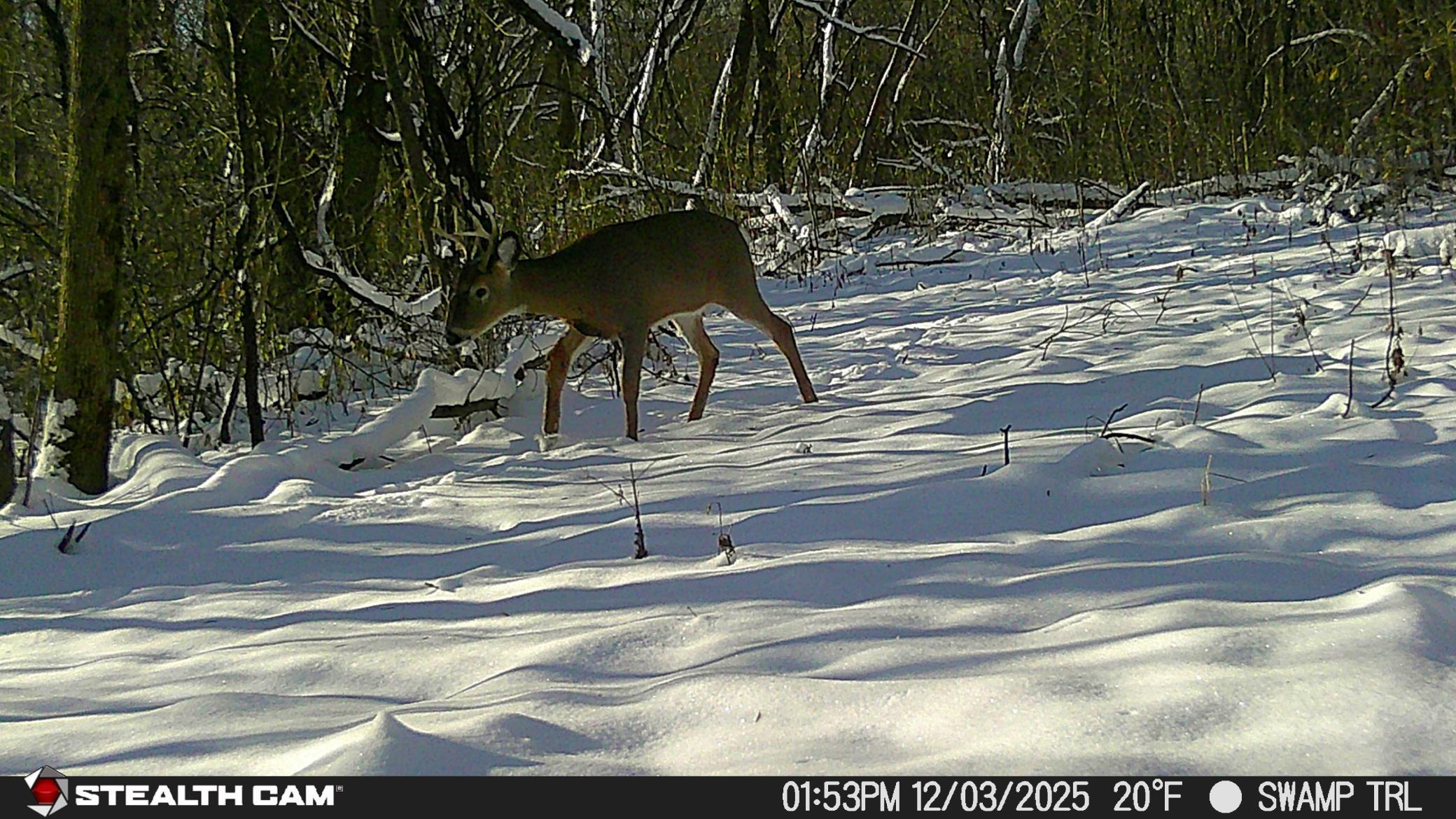 main property photo 19