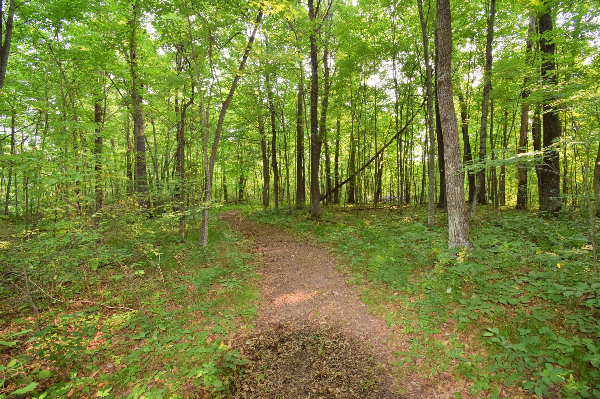 main property photo 49