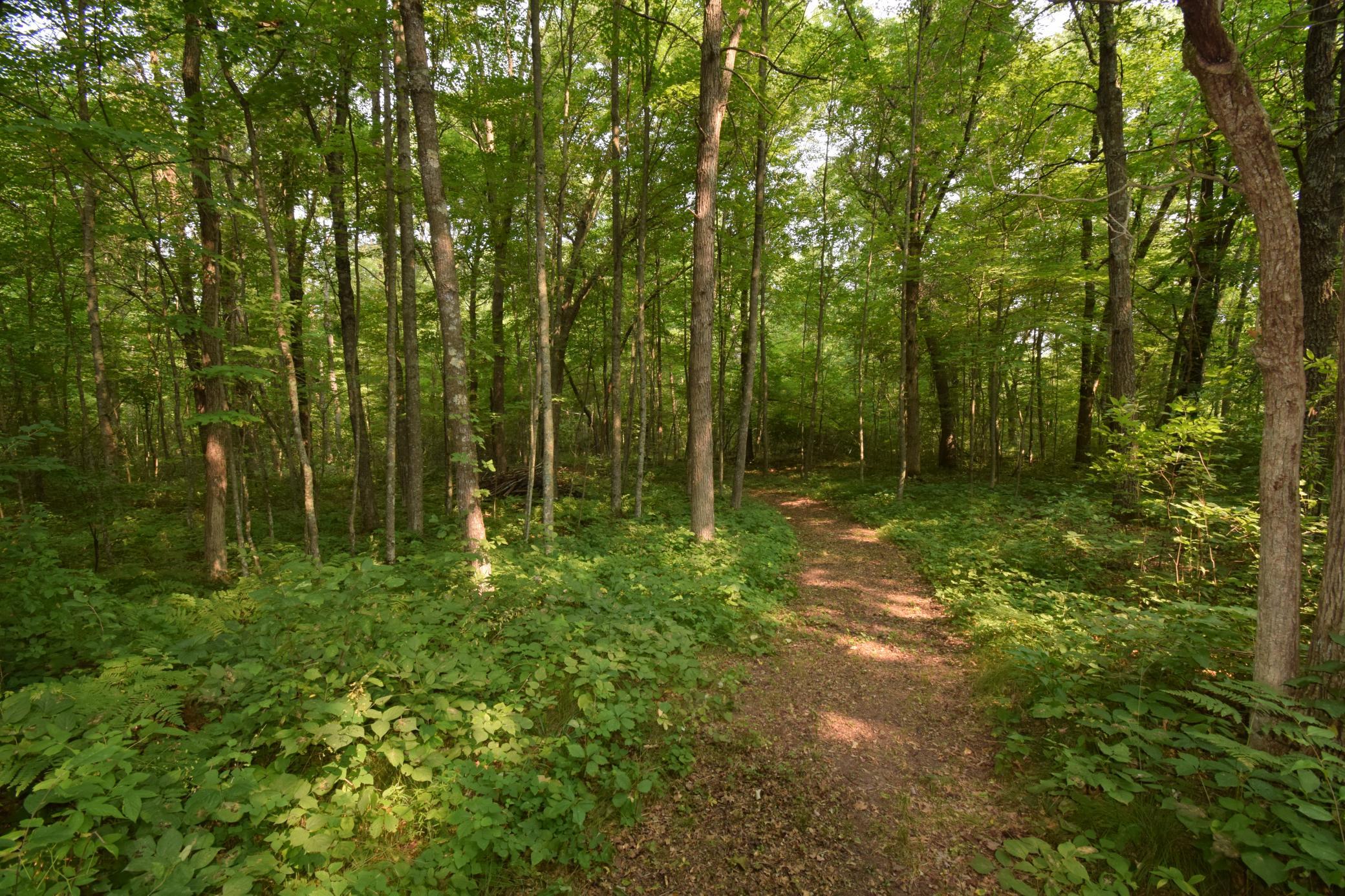 main property photo 51