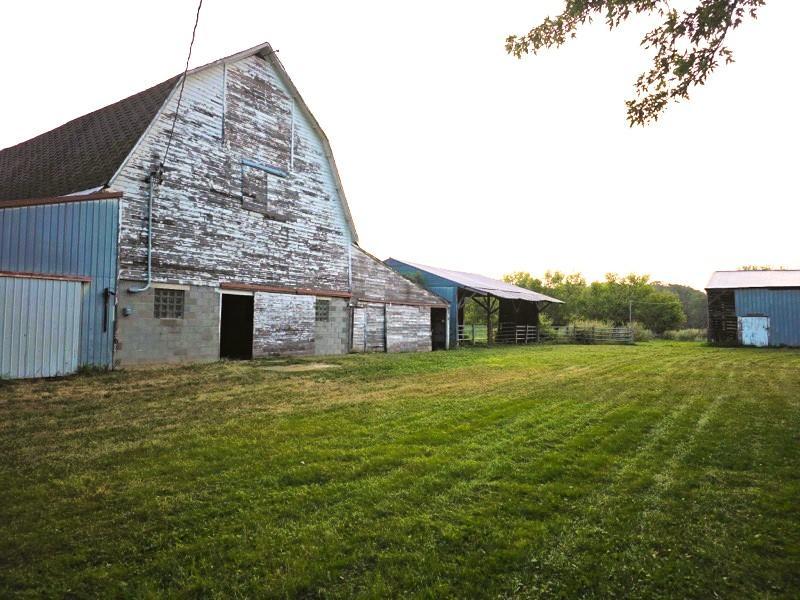 main property photo 12
