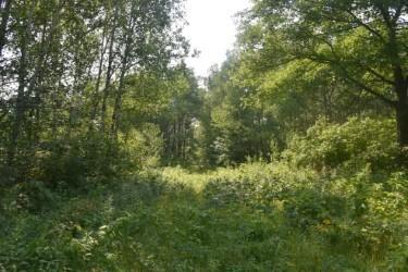 main property photo 8