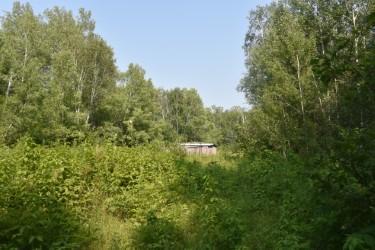 main property photo 9