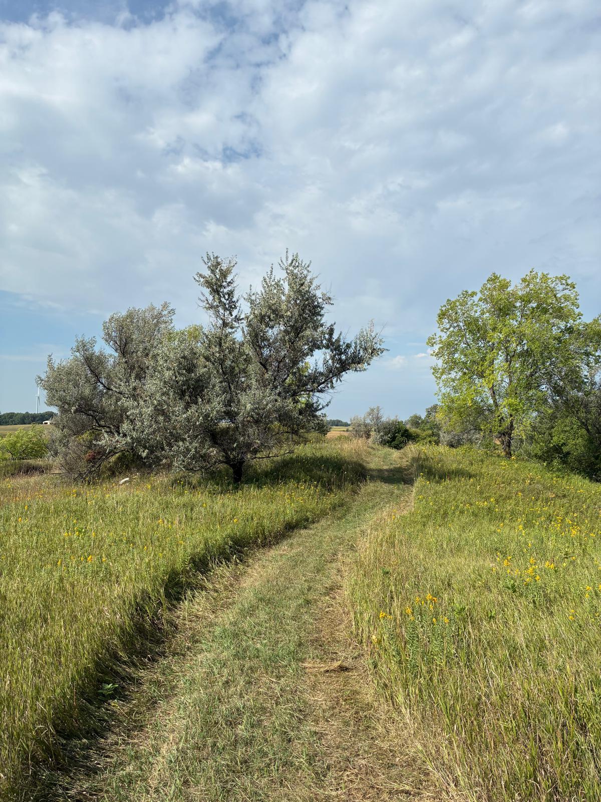 main property photo 49