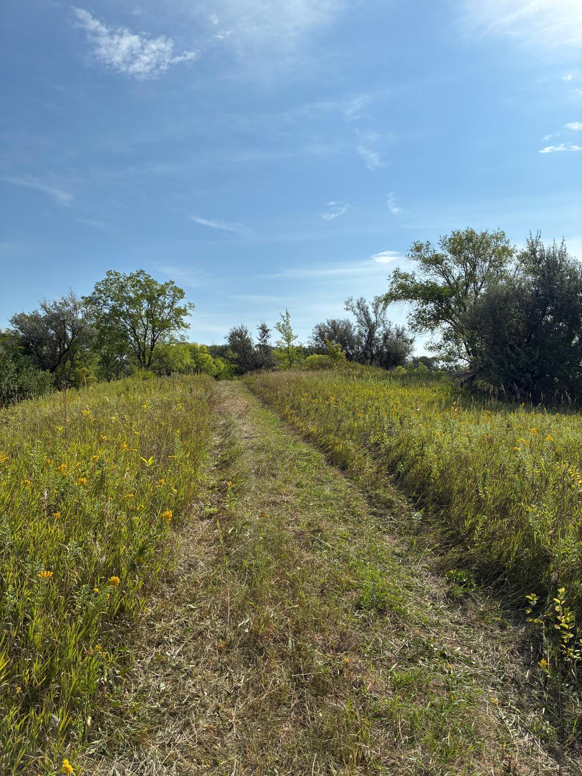 main property photo 50