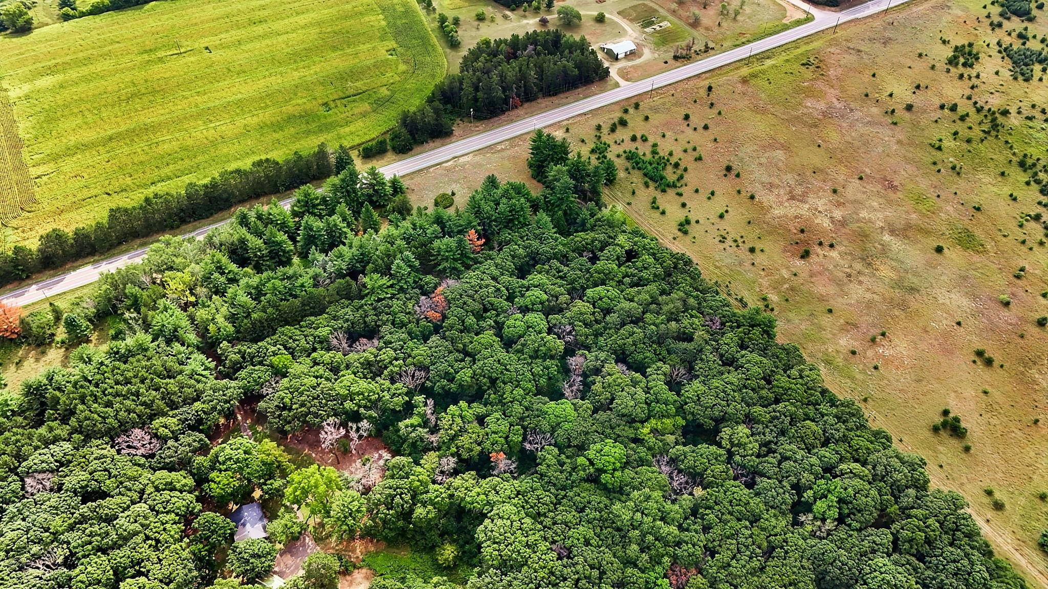 main property photo 11