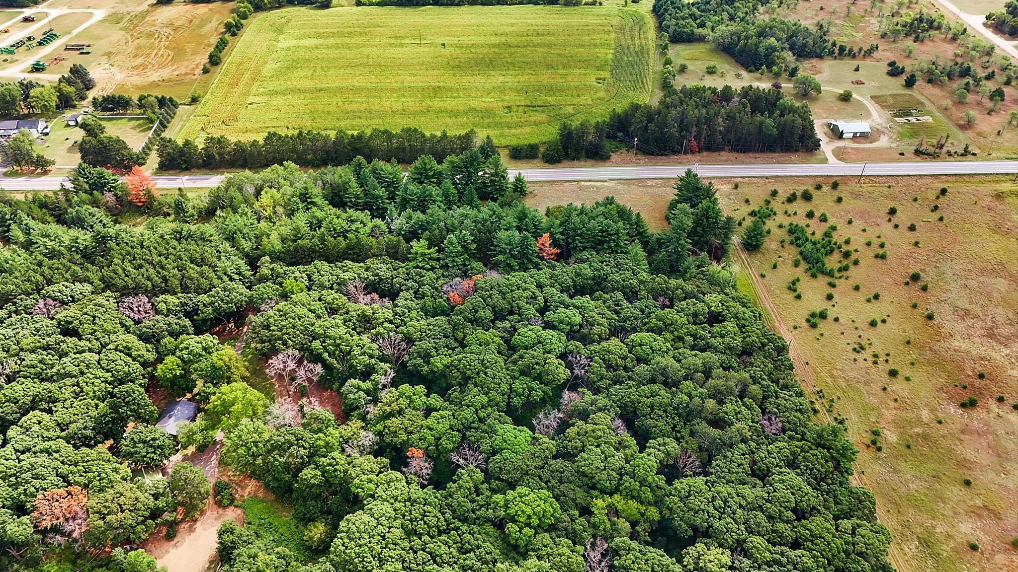 main property photo 7