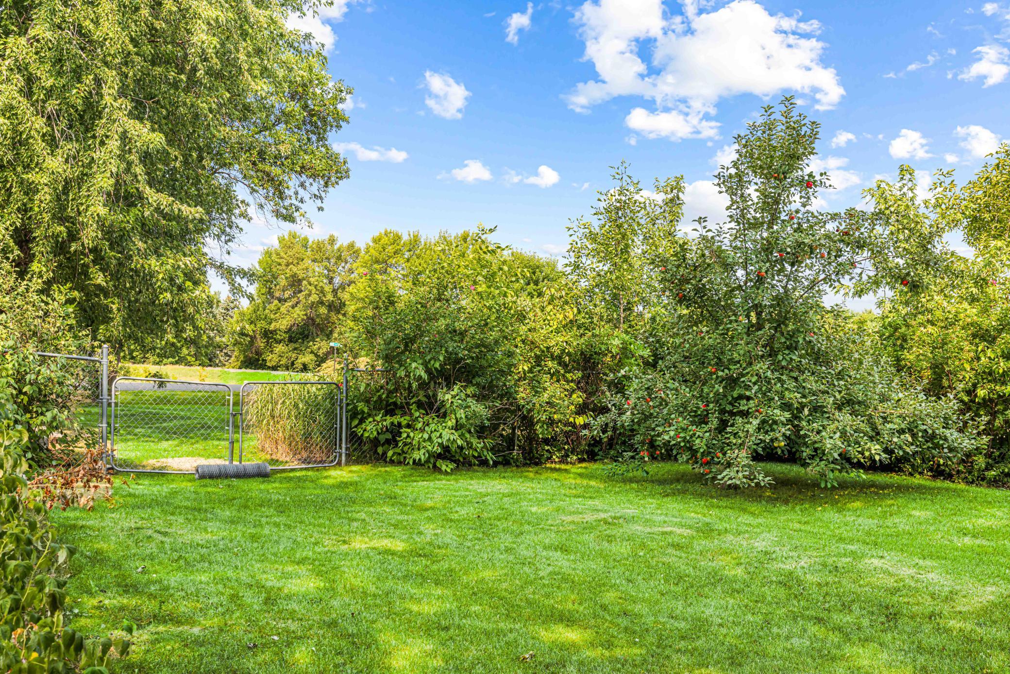 main property photo 49