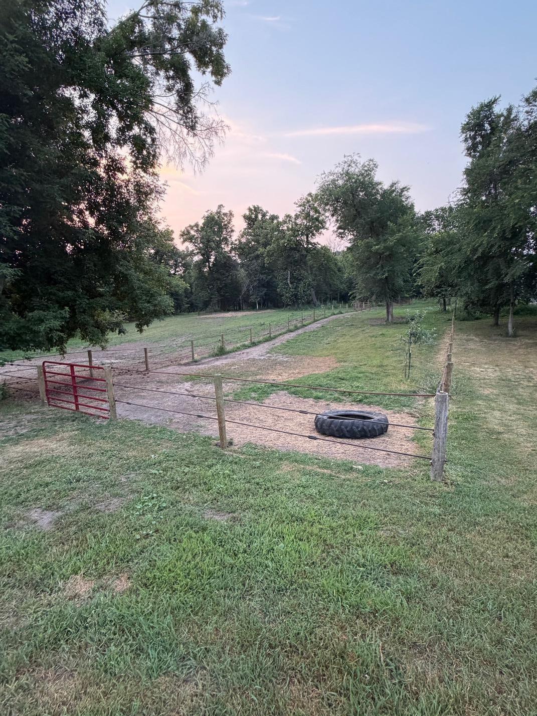 main property photo 25