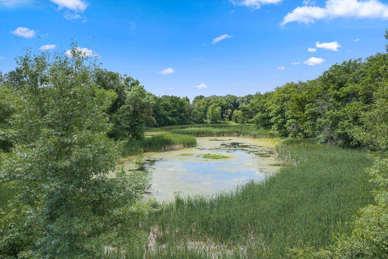 main property photo 47
