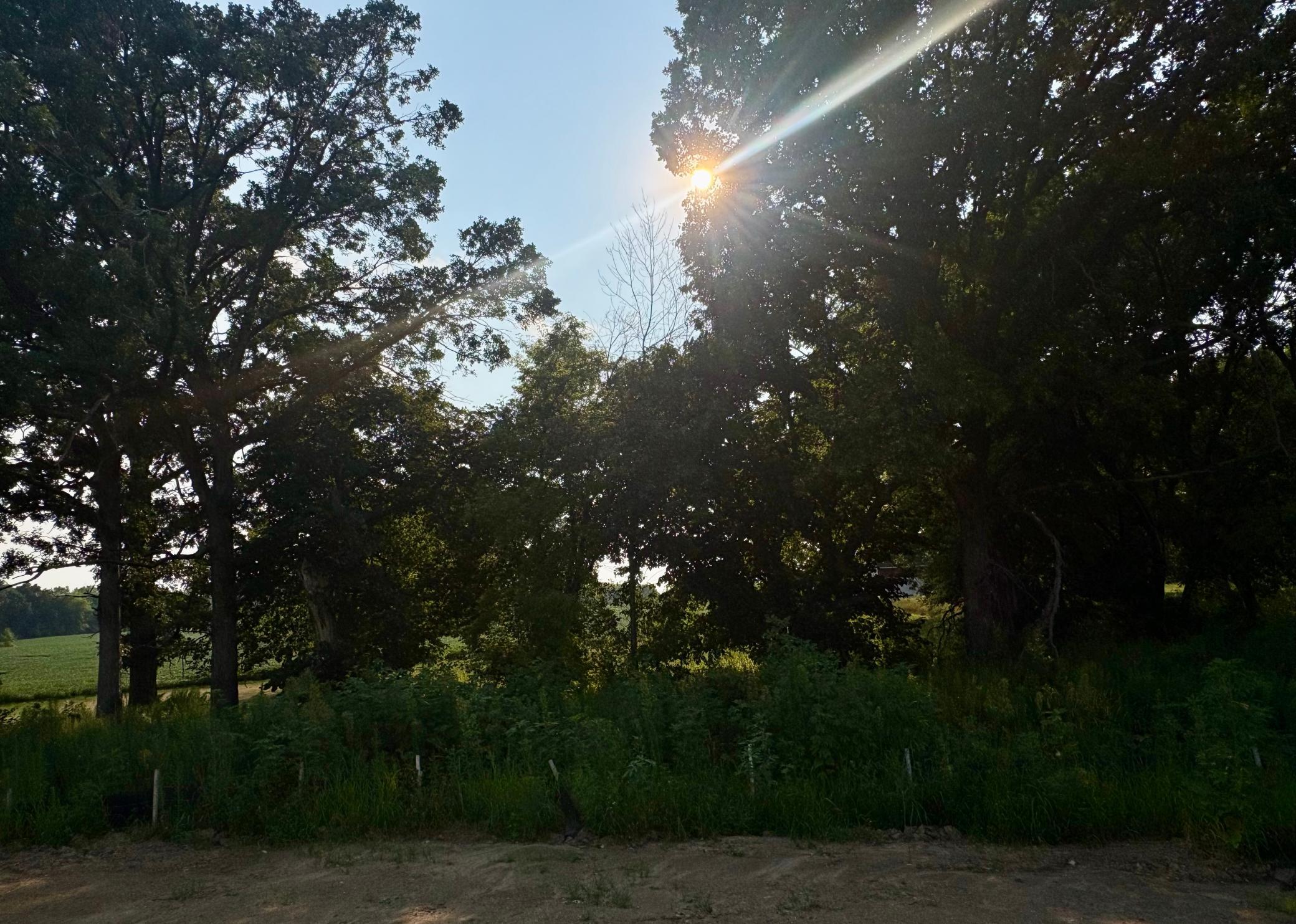 main property photo 21