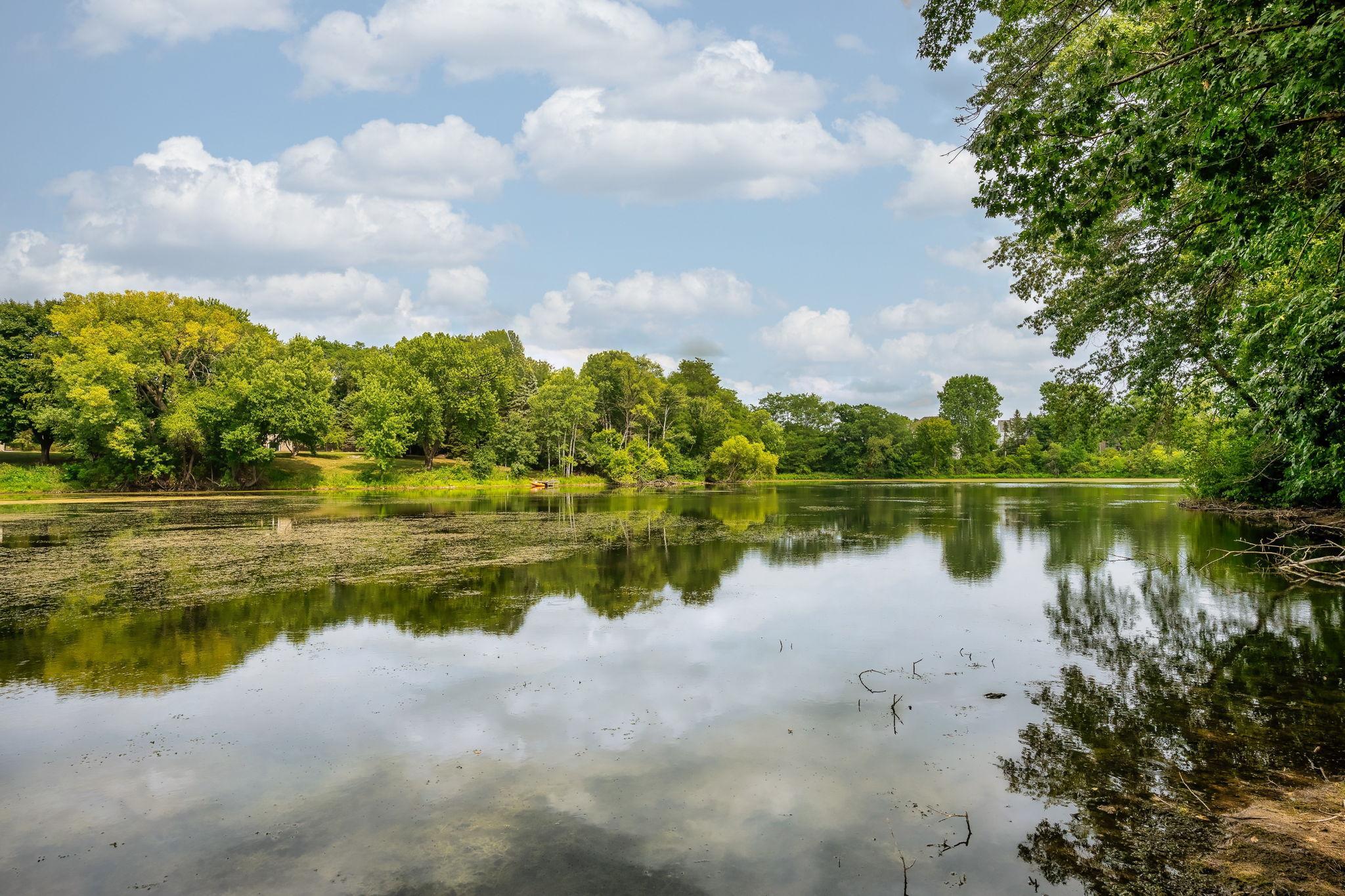 main property photo 63