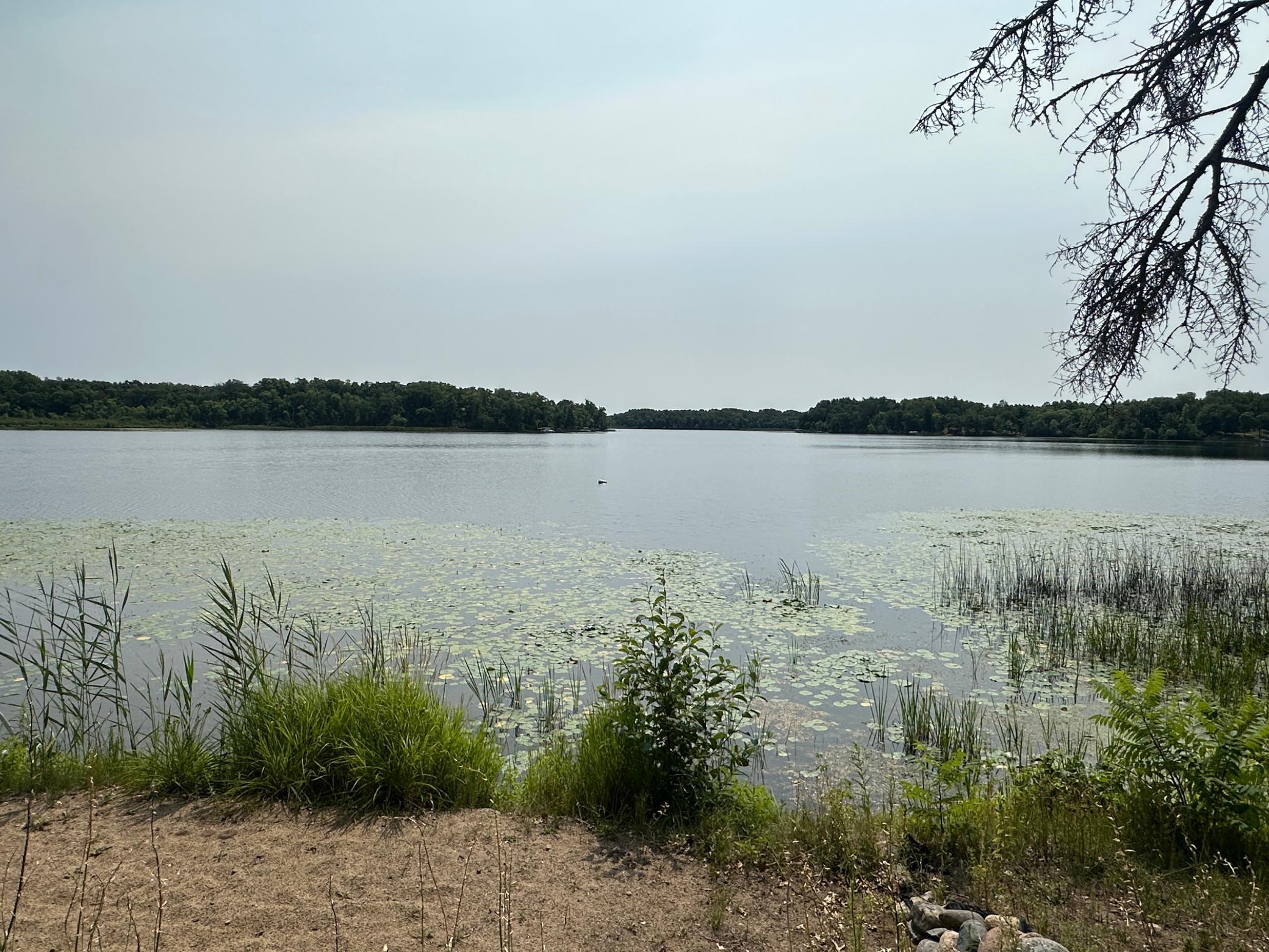 main property photo 14