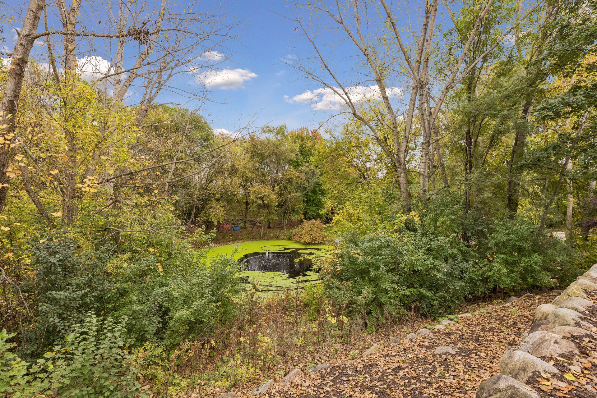 main property photo 62