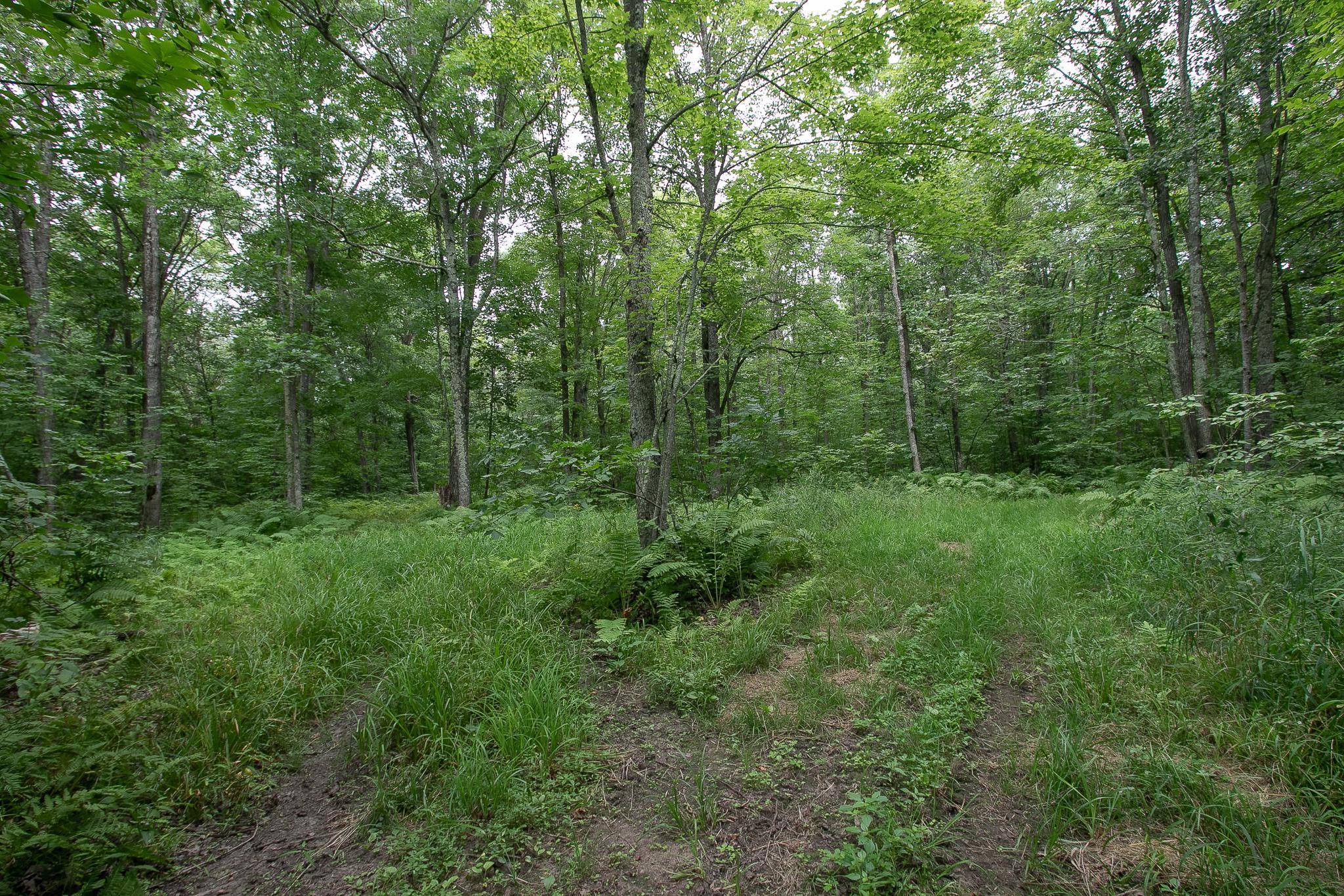 main property photo 36