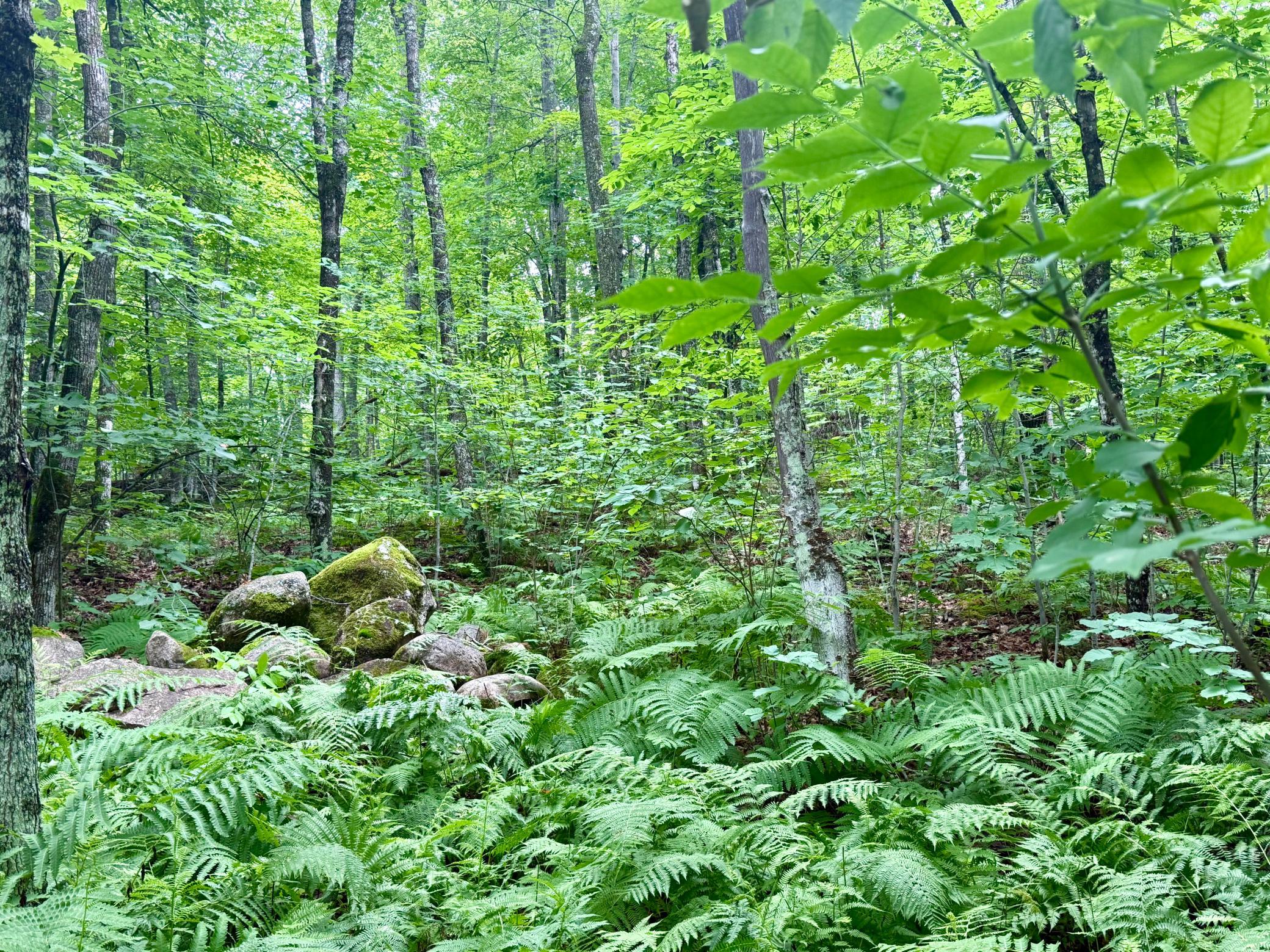 main property photo 13