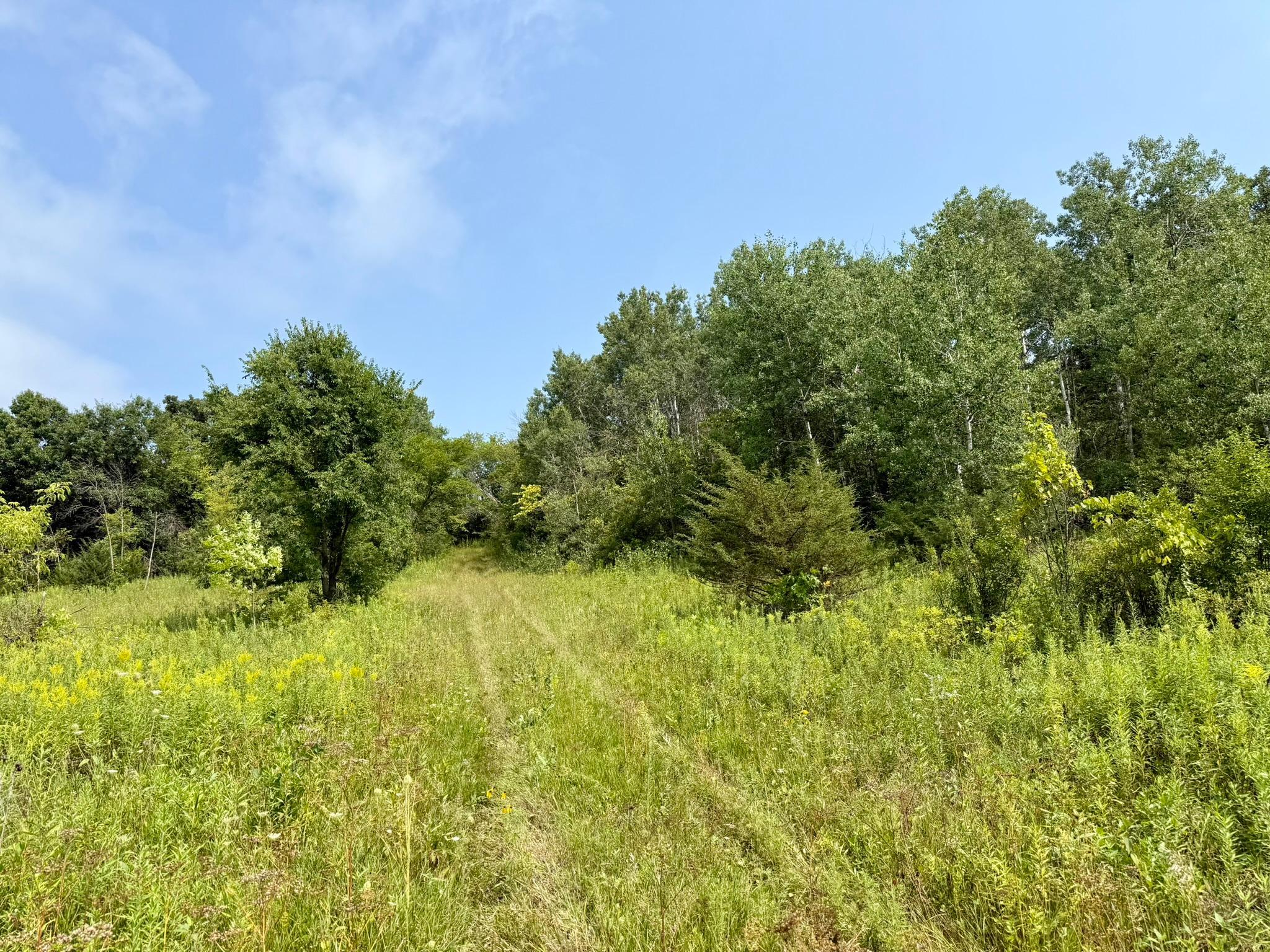 main property photo 11