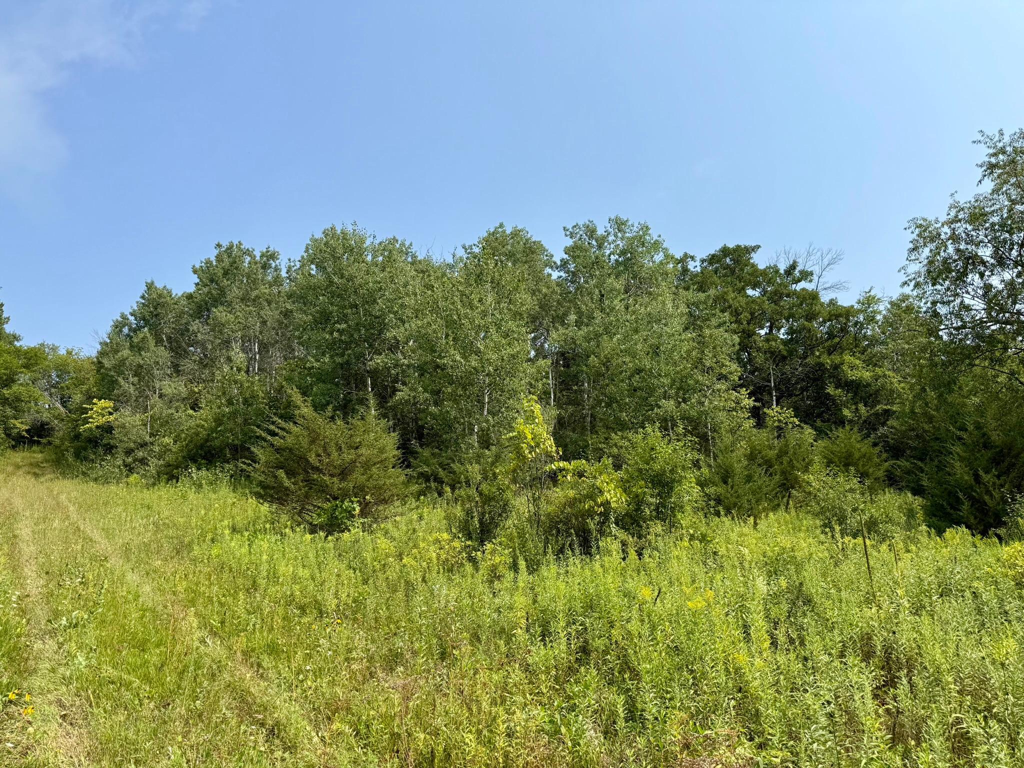 main property photo 12