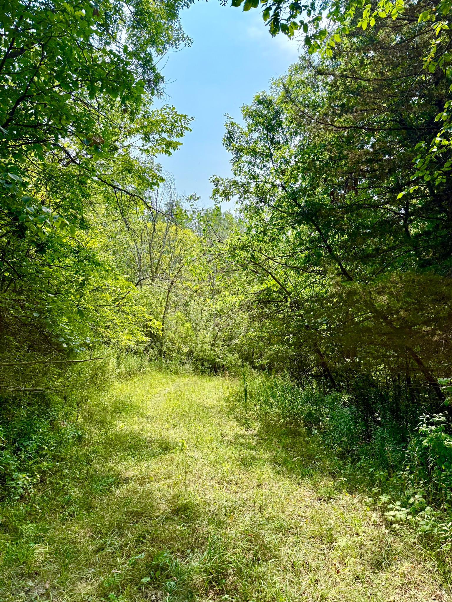 main property photo 14