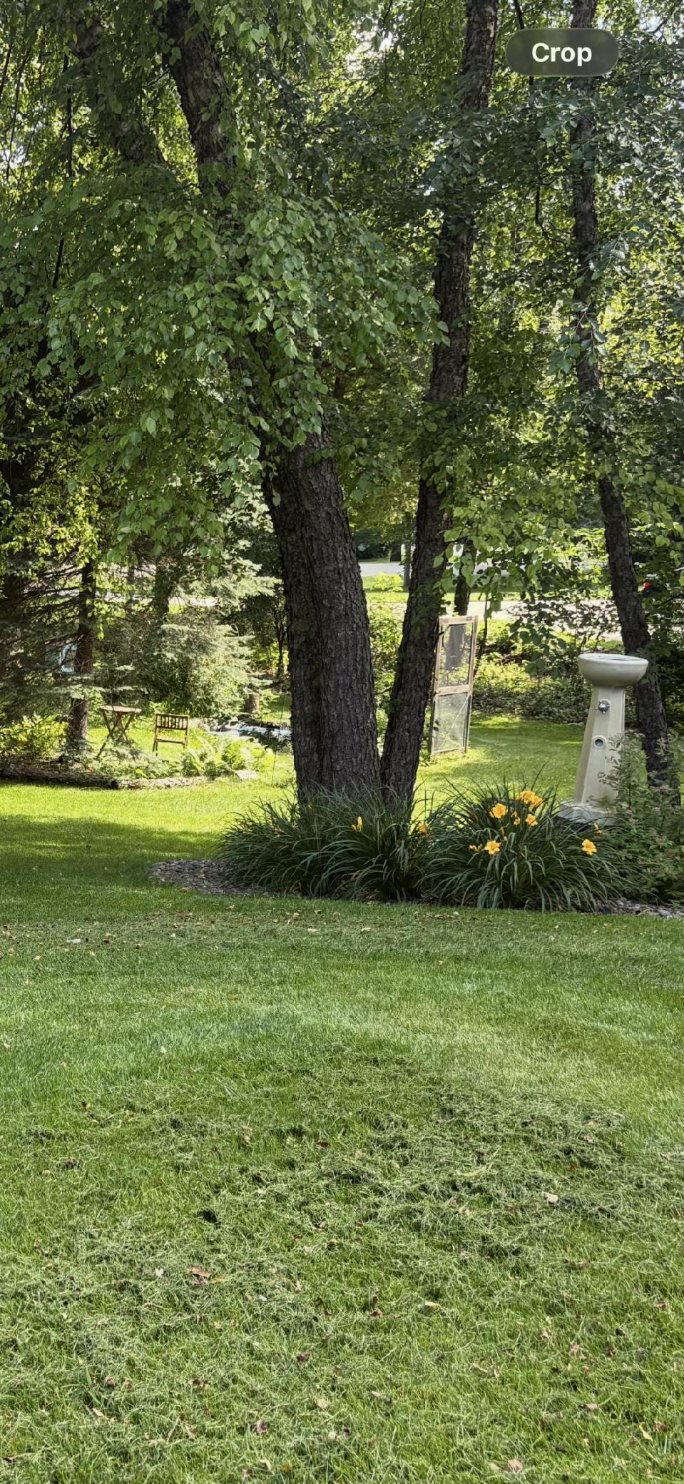 main property photo 86